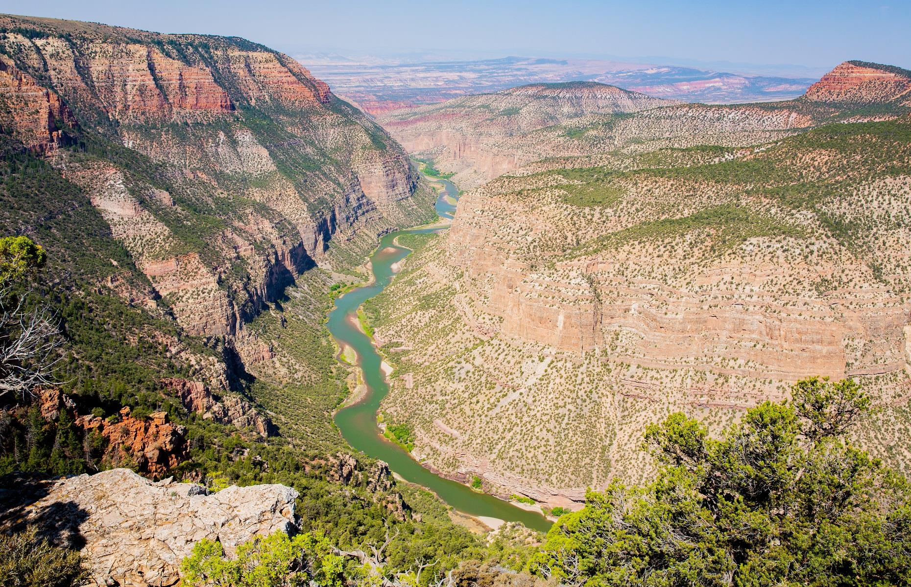 <p>Colorado's neighbor <a href="https://www.visitutah.com/things-to-do/history-culture/natural-history/dinosaurs-paleontology/">Utah</a> has the most complete record of prehistoric life of any geographic area in the world. The state boasts more fossil records than anywhere else in America and has the most complete record of prehistoric life than any other area on the planet. Apart from the Dinosaur National Monument, Utah is also home to some of the planet’s best discovery sites. For one, 25 dinosaur species have so far been found inside <a href="https://www.blm.gov/programs/national-conservation-lands/utah/grand-staircase-escalante-national-monument">Grand Staircase-Escalante National Monument</a>.</p>