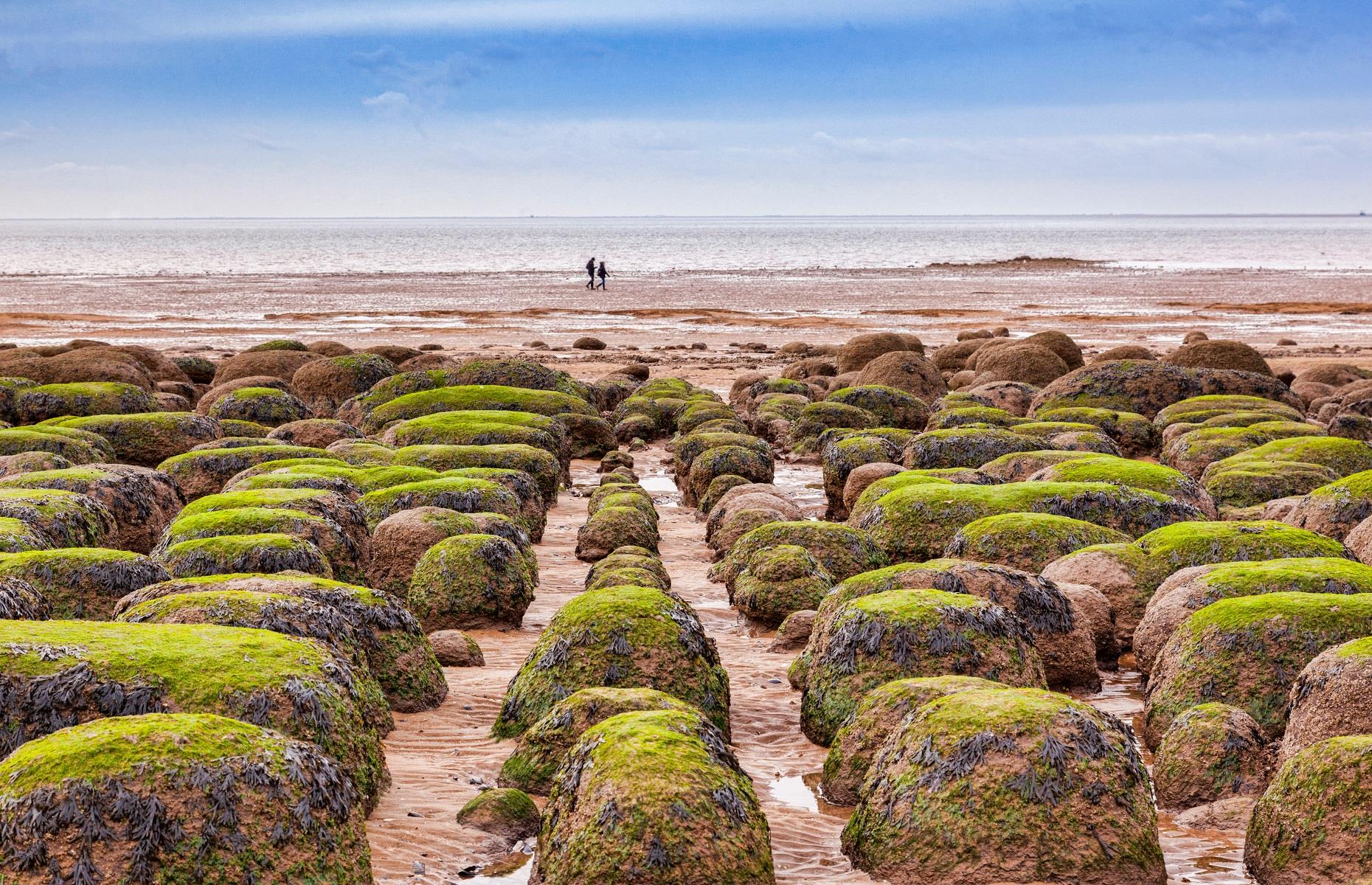 <p>Great Britain was once an abundant oasis for dinosaurs and it's thought that more than 100 different species once roamed the isle. Offering a piece of history dating back millions of years, the <a href="https://www.visitnorthnorfolk.com/Deep-History-Coast/deep_history_coast_fossils.aspx">Deep History Coast</a> in Norfolk is the perfect place to go hunting for fossils. Cromer Museum houses a fantastic fossil collection, but those wanting to get their hands dirty can head to the beaches at West Runton and Sheringham to see what can be unearthed from their rockpools.</p>