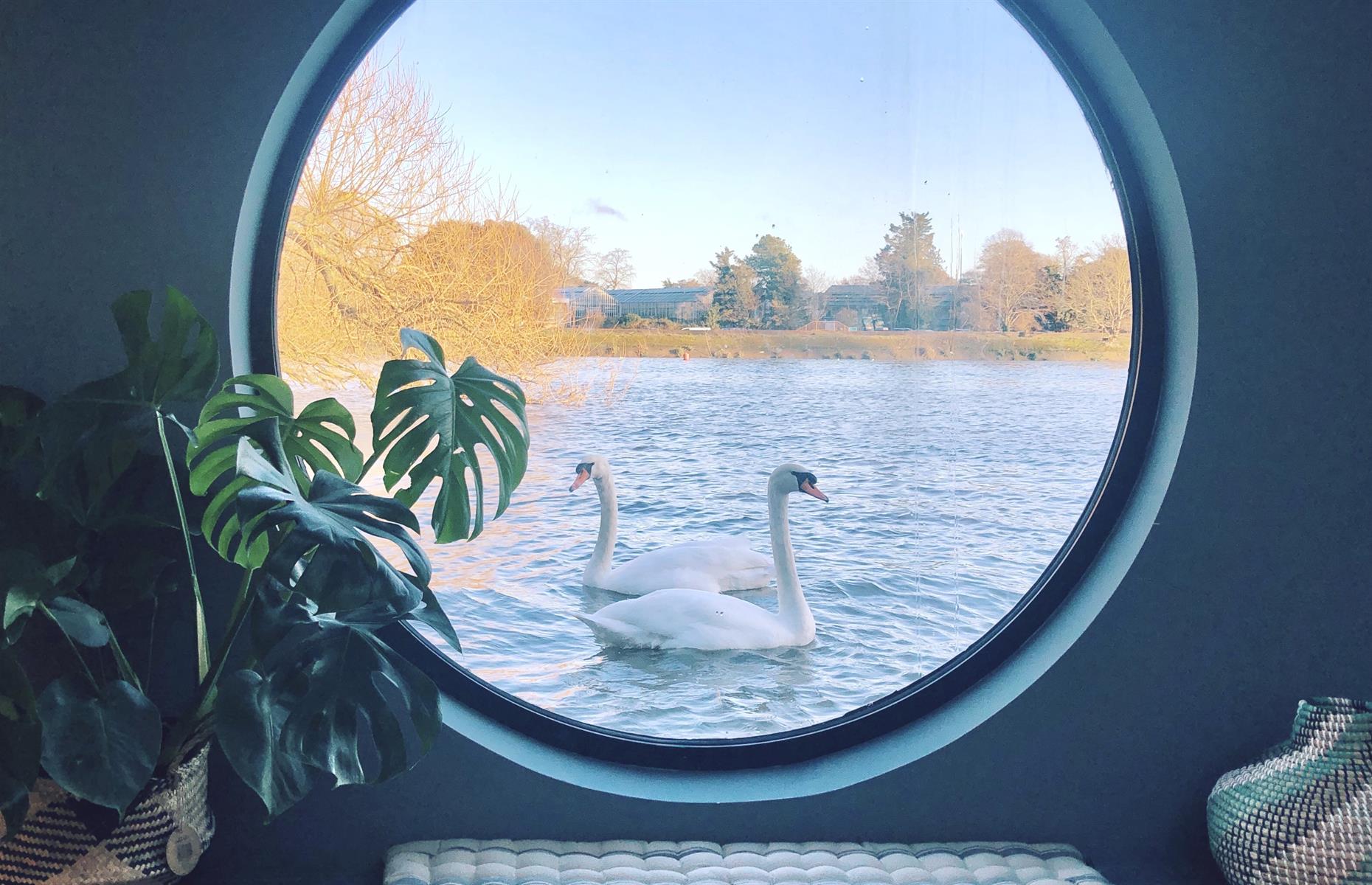 BB1aLzGO.img?h=582&w=1119&m=6&q=60&u=t&o