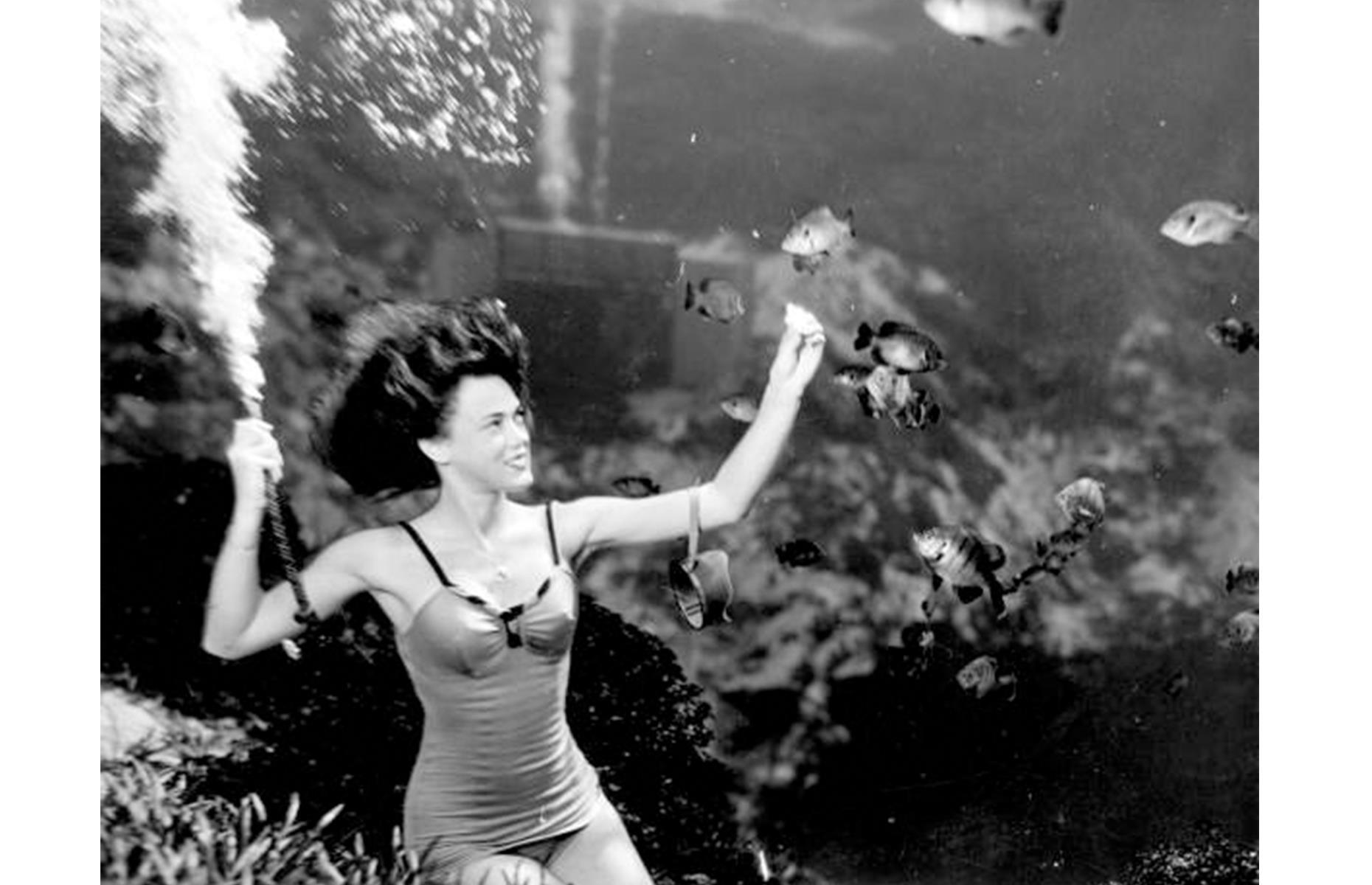 <p>One of Florida’s most unique and long-running attractions, the mermaid show at Weeki Wachee Springs State Park opened in 1947. It was the brainchild of former Navy man, Newton Perry, who built an 18-seat theater into the limestone below the water’s surface, allowing viewers to look right into the deep. He trained performers to breathe underwater and execute synchronized dance routines. In the 1950s, it was one of the nation’s most popular tourist stops and received worldwide acclaim. The attraction still remains today.</p>