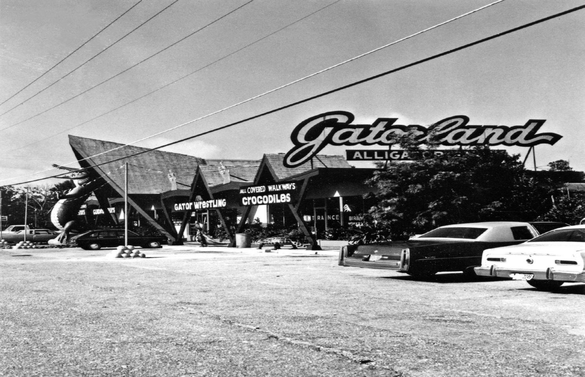 <p>Another of Florida’s earliest and long-running tourist spots, Gatorland was founded by Owen Godwin in 1949. Originally called the Florida Wildlife Institute, Godwin changed the name to the snappier Snake Village and Alligator Farm in the 1950s. The fledgling gift shop and wildlife park became increasingly popular when Bone Crusher arrived. Godwin claimed the 15-foot croc was the world’s largest captive crocodile. The now 110-acre theme park and wildlife preserve is still owned by the family. Check out <a href="https://www.loveexploring.com/galleries/82470/floridas-incredible-transformation-from-swampland-to-holiday-paradise">Florida's transformation from swampland to holiday paradise here</a>.</p>