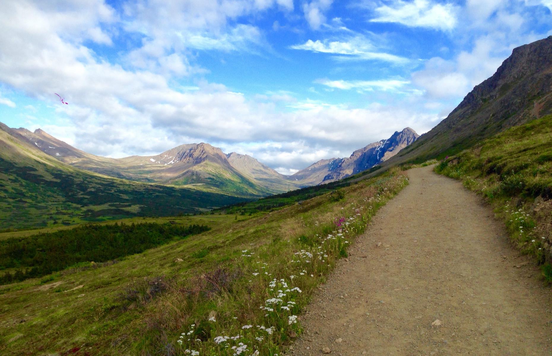 <p>Denali may be Alaska's most famous peak, but <a href="https://www.anchorage.net/discover/the-chugach/flattop-mountain/">Flattop Mountain</a> is hailed as the 'most climbed' pinnacle in the state. You'll need to pay a fee to get up close to the former, but the latter can be scaled free of charge, and it offers panoramic views of valleys and mighty peaks including Denali itself. The vertiginous trail is 1.5 miles (2.4km) to the top, but the vistas are more than worth the effort. (Note that while it's free to climb the peak, you may be required to pay a parking fee.)</p>