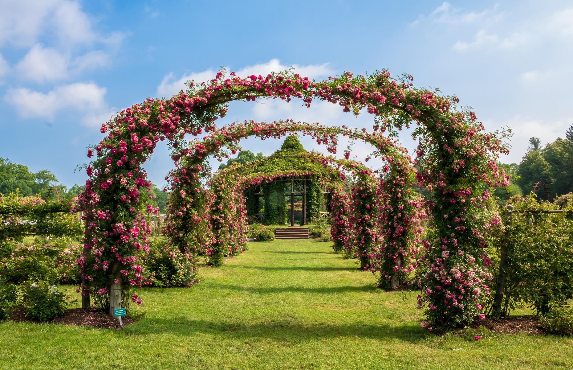 <p>Opened in 1904, <a href="https://www.elizabethparkct.org/">this public park</a> is home to America's oldest rose garden. More than 800 varieties of rose grow here, climbing trellises and clinging to arches, and blossoming from late June. The rest of the grounds stretch for 101 acres, dotted with greenhouses and ponds, and typically attracting plenty of flower-loving visitors each year.</p>