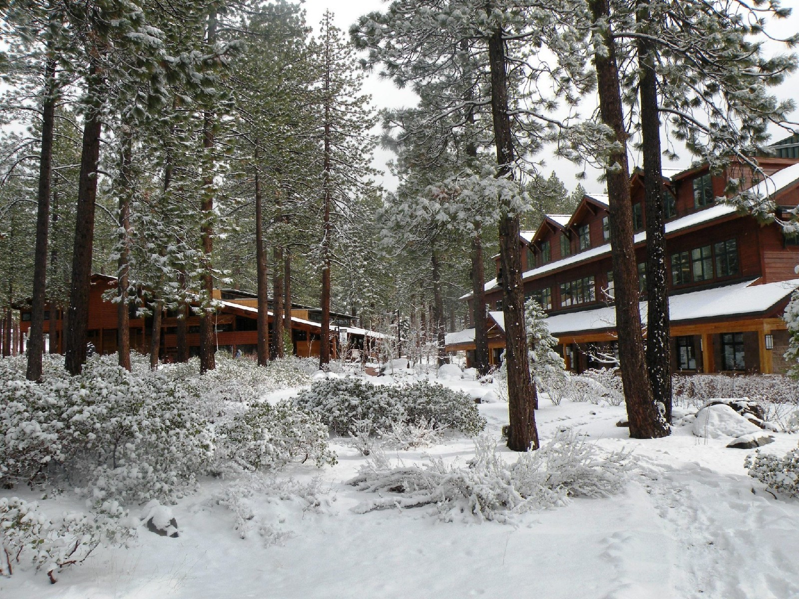 <p>Located on the shore of Lake Tahoe, <a href="http://www.sierranevada.edu/campus_life/on-campus-2/" rel="noreferrer noopener">Sierra Nevada College</a> has some of the most spectacular scenery in the country, and buildings whose tall windows and exposed timber perfectly complement the mountain setting.</p><p><a href="https://www.facebook.com/snclaketahoe/photos/a.10151388849645444.822459.344701740443/10152358007480444/?type=3&theater" rel="noreferrer noopener">See photo on Facebook</a></p>