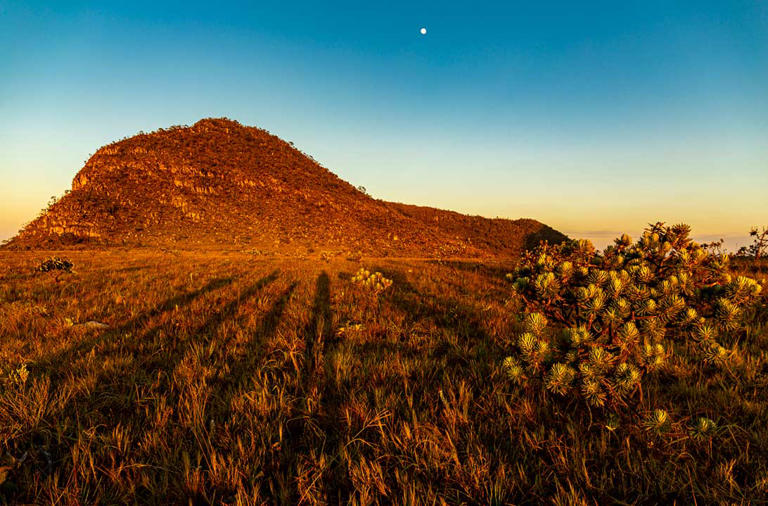 As paisagens do Cerrado também não podem ficar fora de um roteiro fotográfico pela Chapada dos Veadeiros