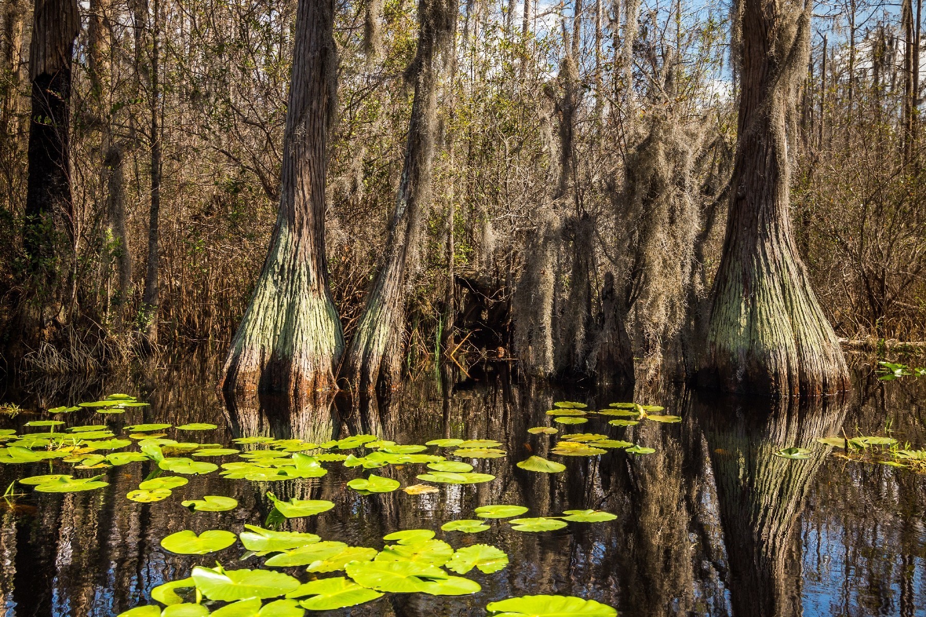 The most beautiful natural wonders in all 50 states