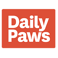 Daily Paws/