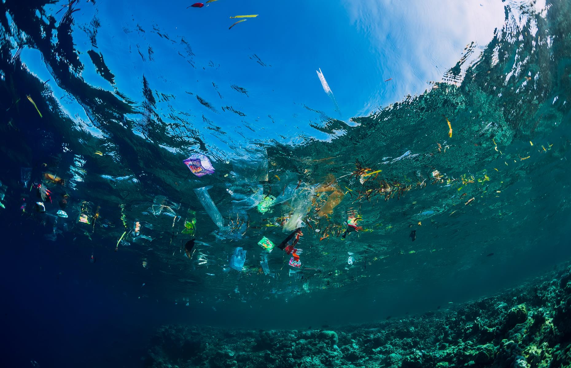 These Photos Show The Shocking Impact Of Plastic On Our Oceans