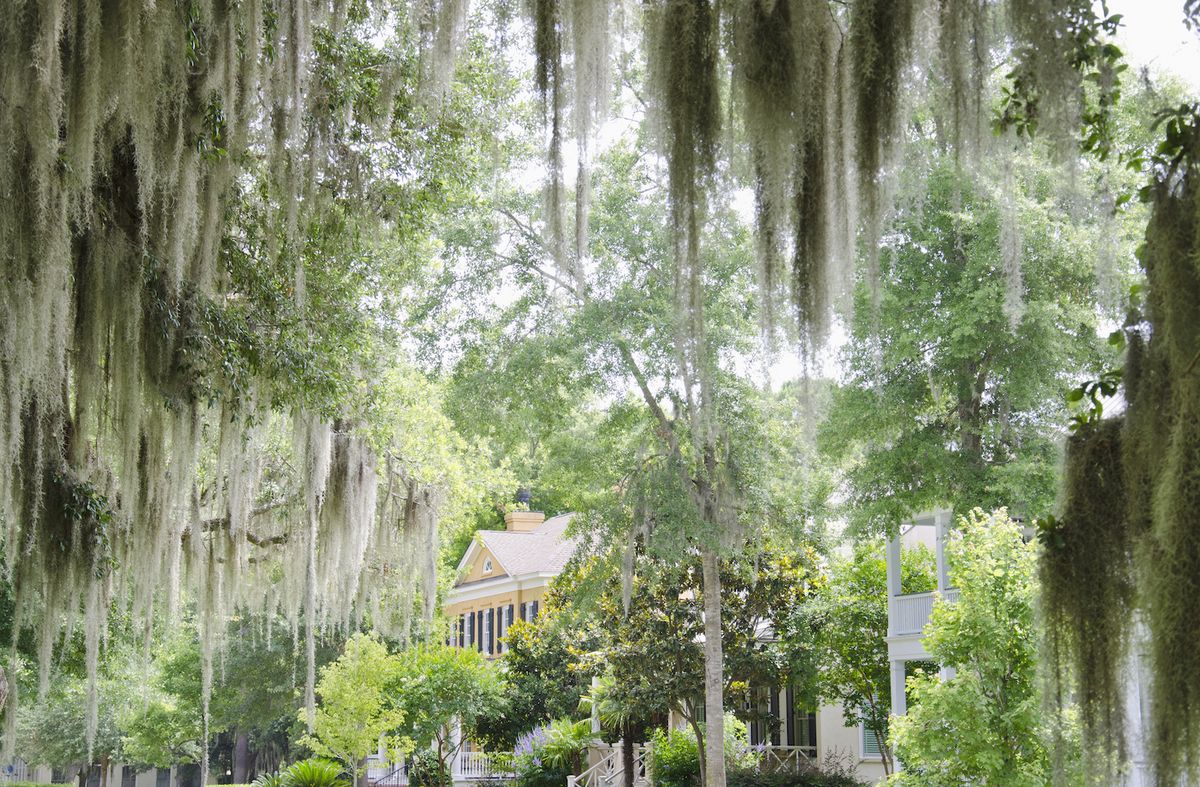<p><a href="http://www.beaufortsc.org/">Beaufort</a> has a population of 13,130, making it the biggest entry on our list, but it's so lovely that we had to include it. Situated on Port Royal Island, it's a town where every an Instagram-worthy view is around every corner. </p><p><a href="https://www.housebeautiful.com/design-inspiration/house-tours/g3565/michelle-prentice-south-carolina-home-tour/"><em>Peek inside a romantic Beaufort home »</em></a></p>