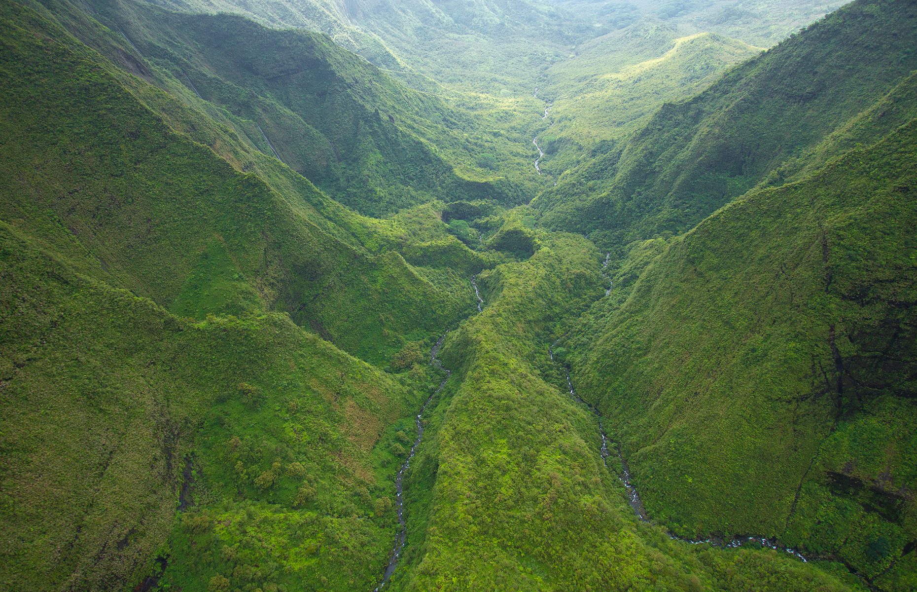 <p>The second-highest point on the island of Kauaʻi, <a href="https://kukuiula.com/mount-waialeale/" rel="noreferrer noopener">Mount Waialeale</a> also holds the distinction of being the second-wettest place on earth. This harsh terrain and unrelenting bad weather are what make it one of the wildest places in the state.</p>