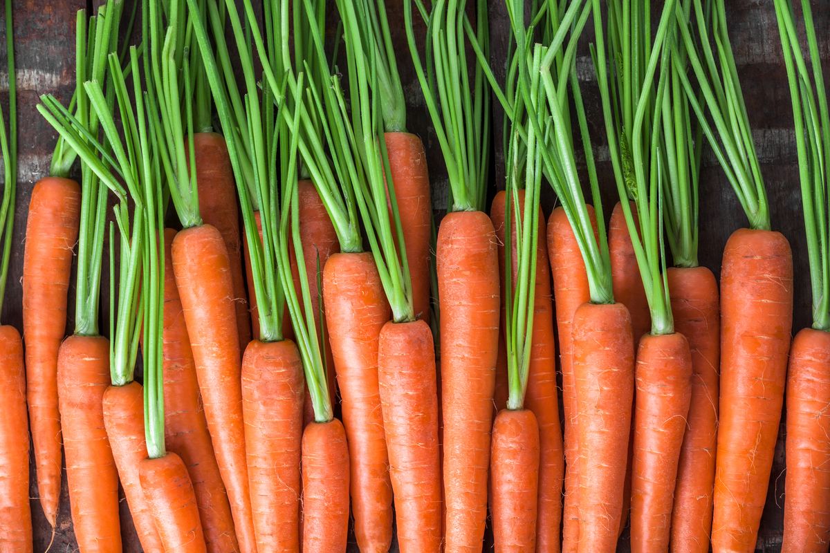 19 Top Nutrient-Dense Vegetables to Eat Daily, According to Nutritionists