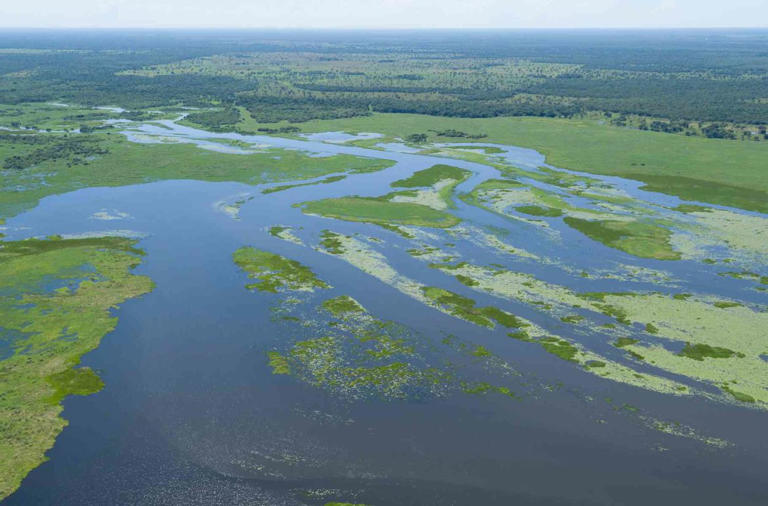  PANTANAL: um dos lugares mais lindos do planeta. O Parque Nacional do Pantanal fica no Mato Grosso e é também um lugar perfeito para observar inúmeras espécies de animais Foto: Flávio André/Mtur)