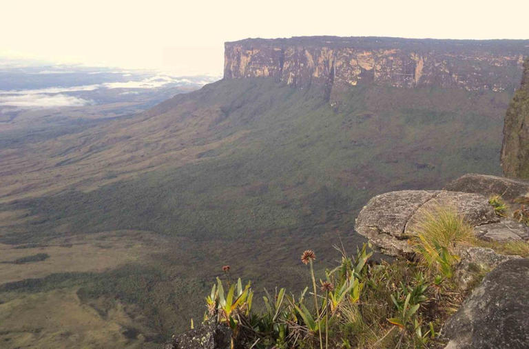  MONTE RORAIMA: a subida até o ponto mais alto do Monte Roraima é bastante exigente, mas a vista não deixará arrependimentos (Foto: Brainin/Pixabay)