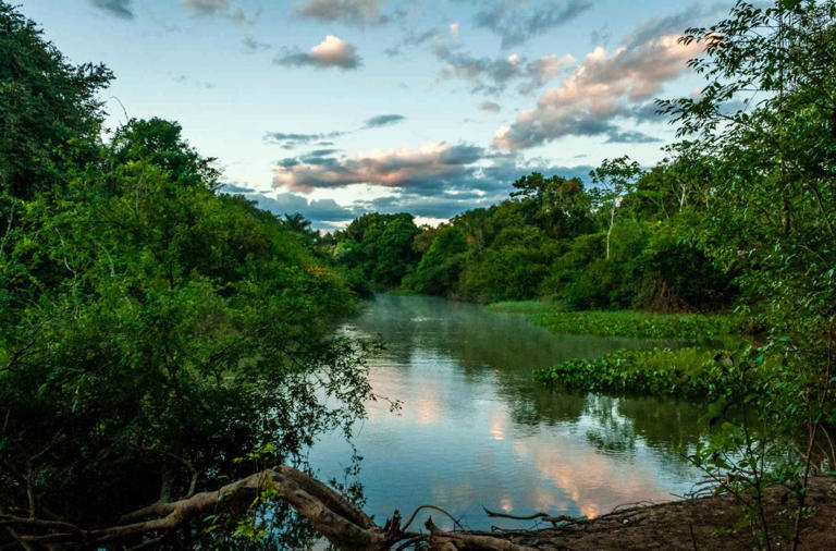  ARAGUAIA: está localizado no Tocantins e tem suas paisagens belas formadas entre rios e florestas (Foto: Rodrigo José Fernandes/Wikimedia Commons/CC BY-SA 4.0)