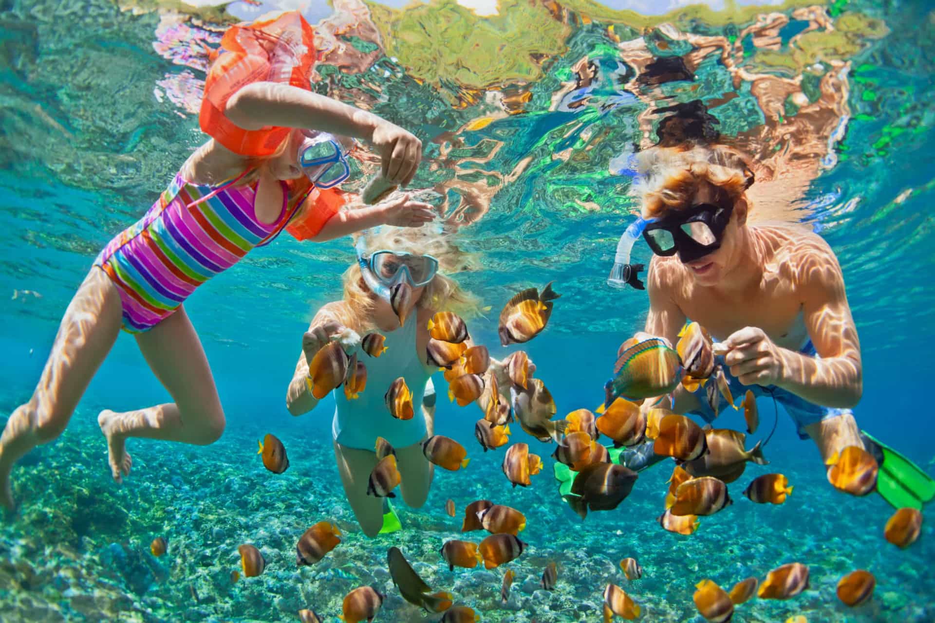 <p>There are a plethora of nature and water activities to do in the Maldives. Here, it is all about the natural beauty of Earth rather than cultural activities.</p>