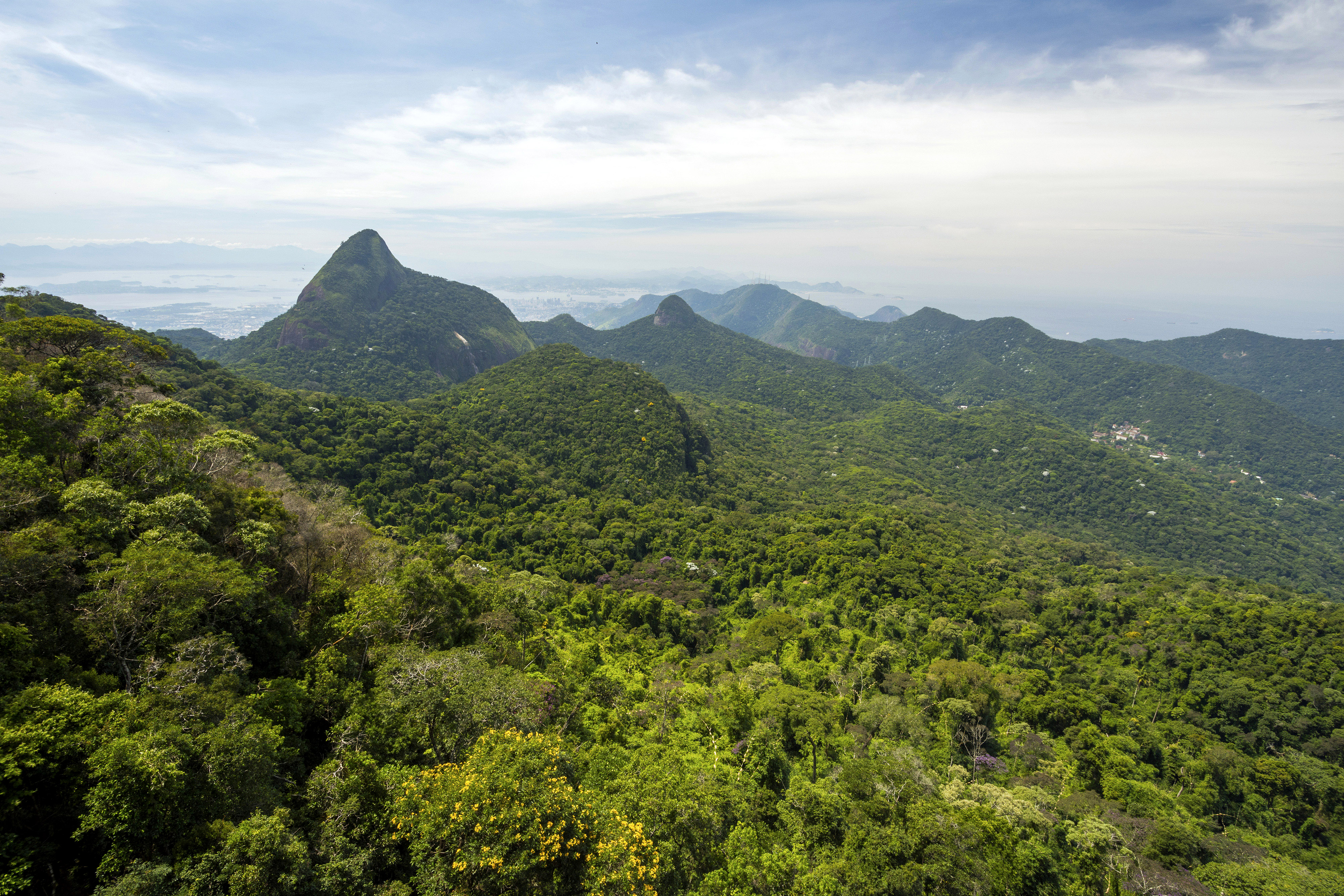 ����� 6 �� 34: Scenery of forest and mountains, Tijuca Forest National Park, Rio de Janeiro, Brazil