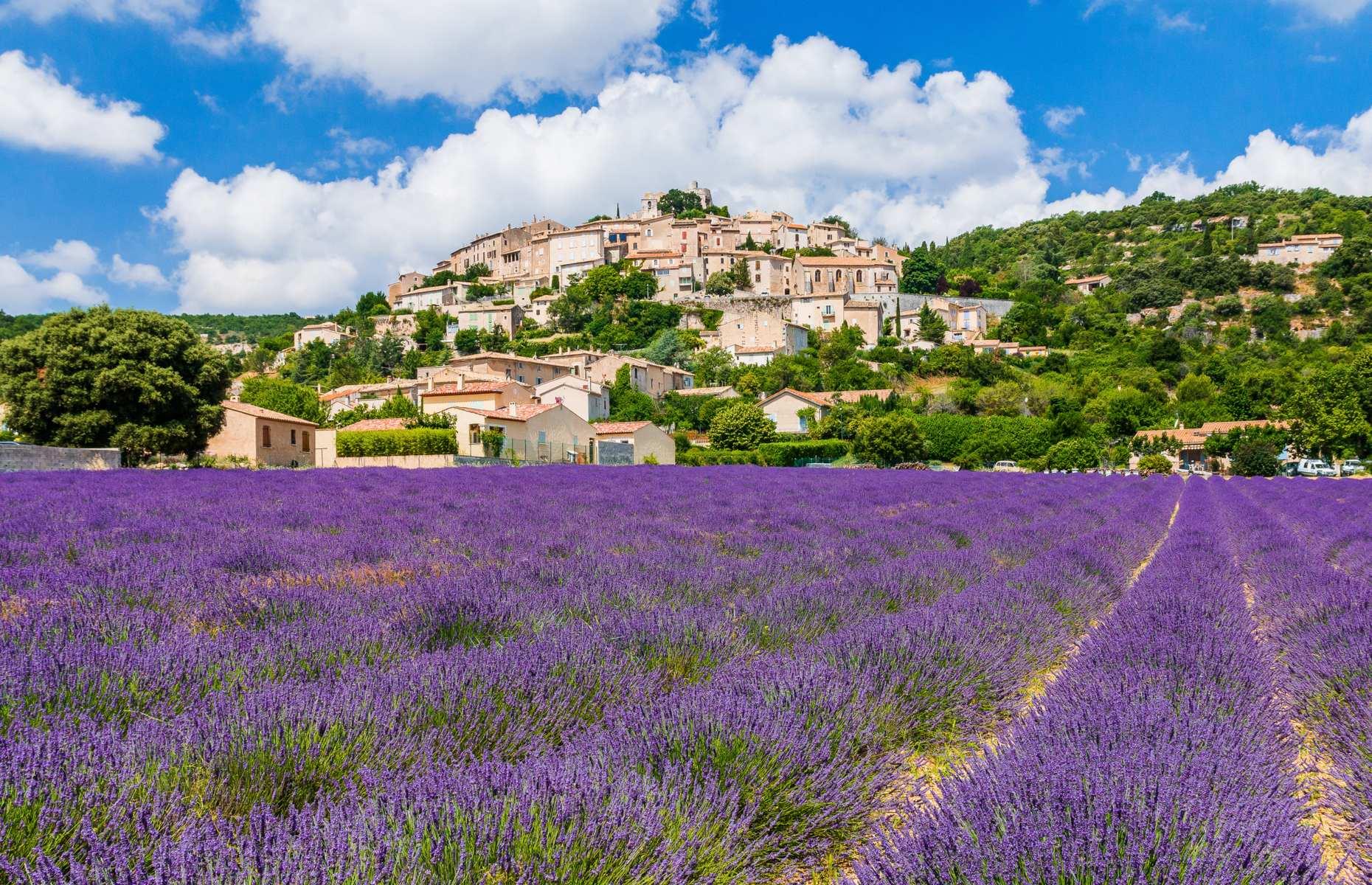 The hilltop commune of Simiane la Rotonde looks especially striking during the summer, when it sits above a luxurious rug of Provençal lavender. It owes its name to the rotunda of a 12th-century castle perched at the top of the hill, which currently serves as the setting for the annual Festival of Ancient Music and numerous exhibitions. With its narrow houses stacked onto the steep slopes, the village is as quaint as you can get.