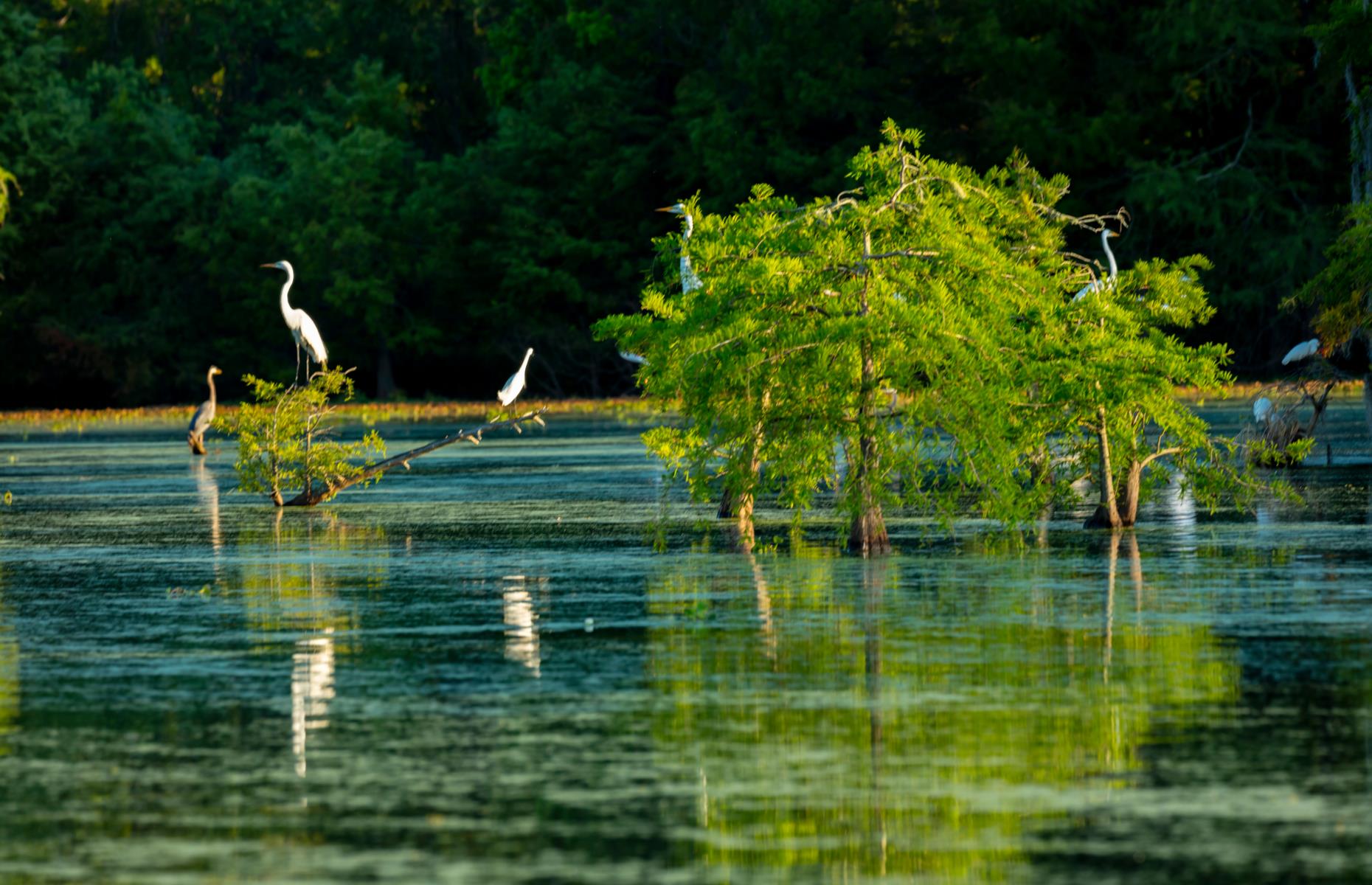 America's Most Beautiful Lakeside Towns With STUNNING Views