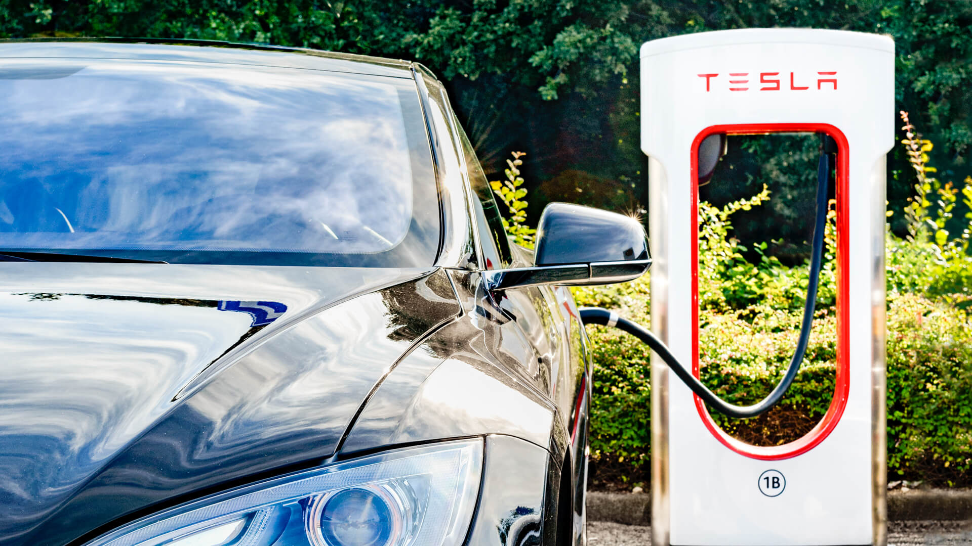 5 Questions To Ask Before Buying an Electric Vehicle