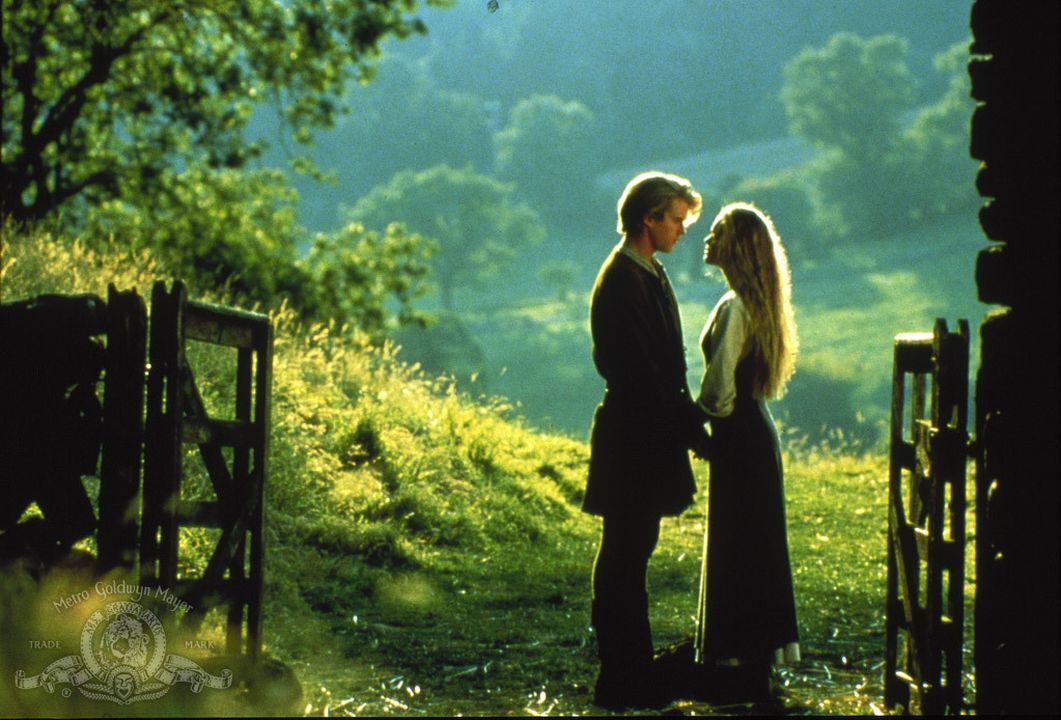 <p><em>The Princess Bride </em>is one of the <a href="https://ew.com/movies/robin-wright-cary-elwes-the-princess-bride-disney-plus/">most beloved family-friendly romantic comedies</a> of the ‘80s. <a href="https://www.goodreads.com/book/show/21787.The_Princess_Bride">Adapted from the 1973 novel</a> of the same name, this movie takes you inside the world of a storybook where a farmhand <a href="https://www.imdb.com/title/tt0093779/">goes on an adventure</a> to rescue the love of his life after she is kidnapped.</p>