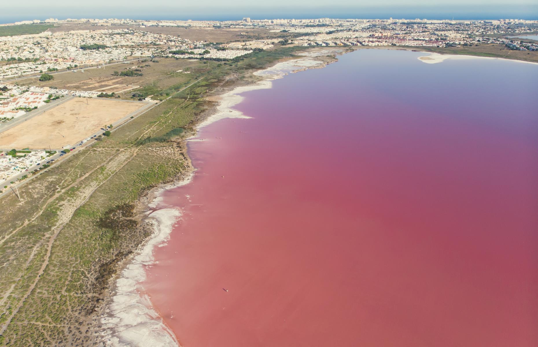 <p>The candy pink tones of southern Spain’s natural salt lakes come from the combination of a type of bacteria, halobacterium, with a type of seaweed, dunaliella salina. During the spring, the region is crowded by flamingos which come to feast on the water’s algae, harmonizing perfectly with the rosy-hued water. </p>