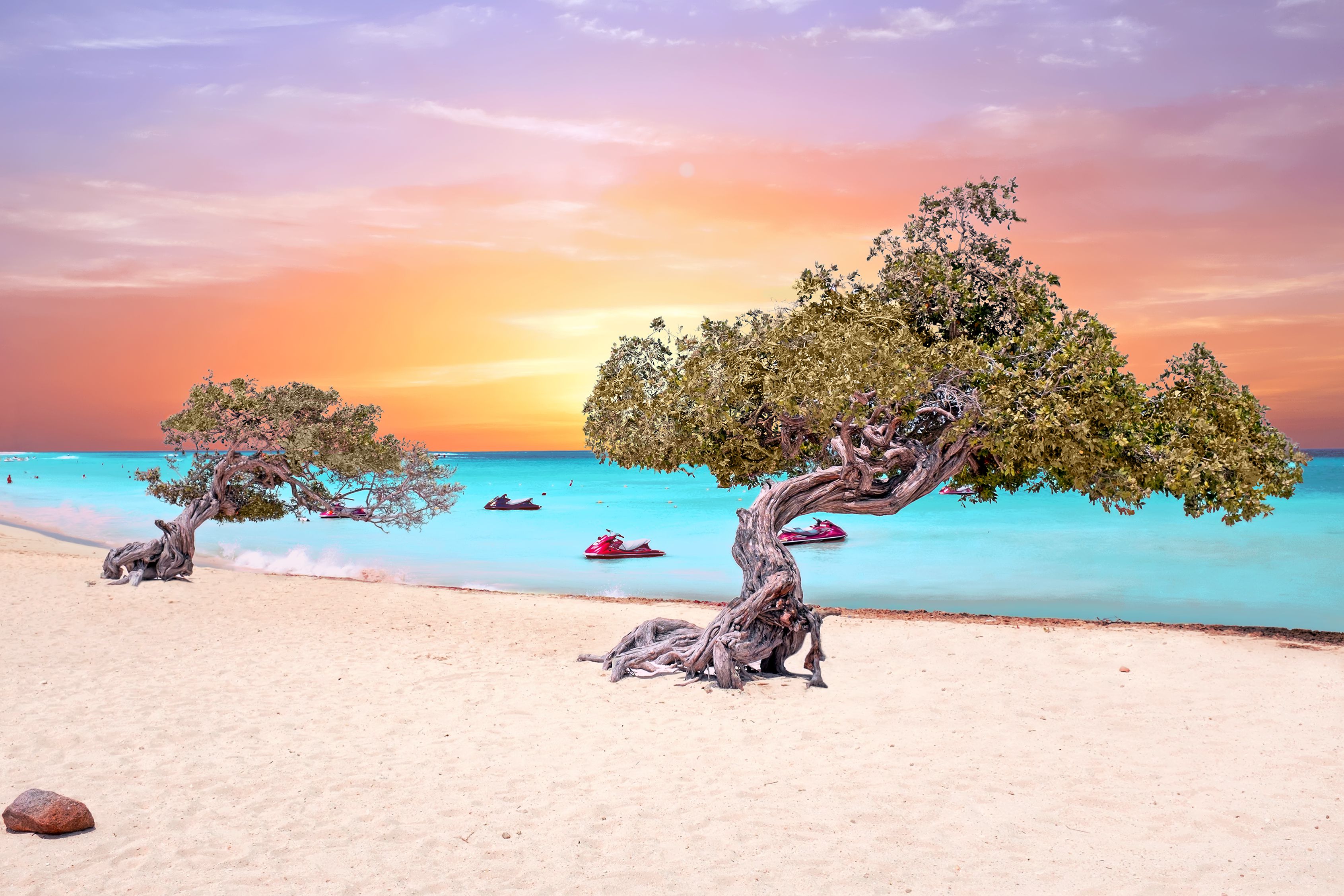 <p>The flagship feature of Aruba’s widest beach is its famous fofoti trees, which point directly toward the water.</p>