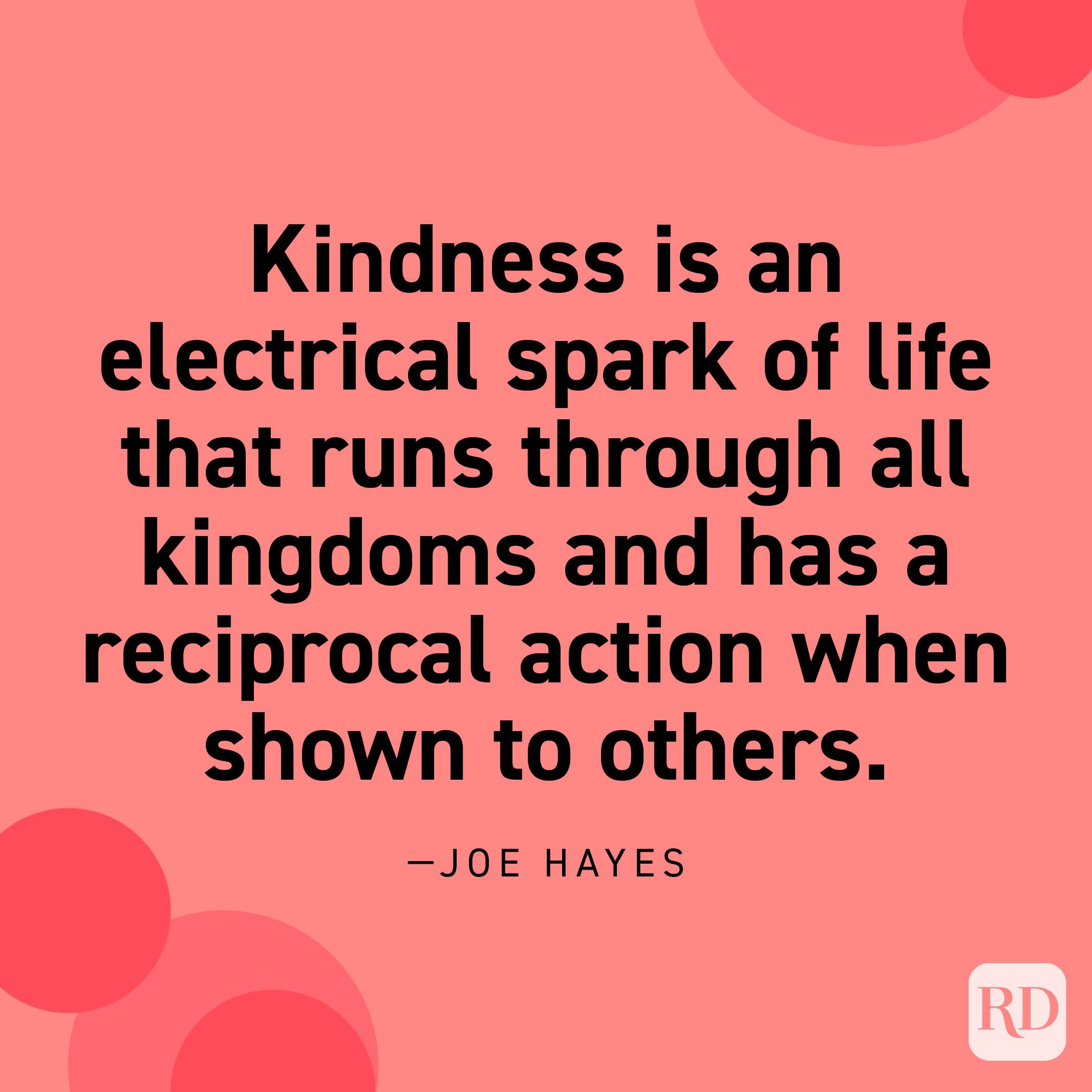 60 Powerful Kindness Quotes That Will Stay with You