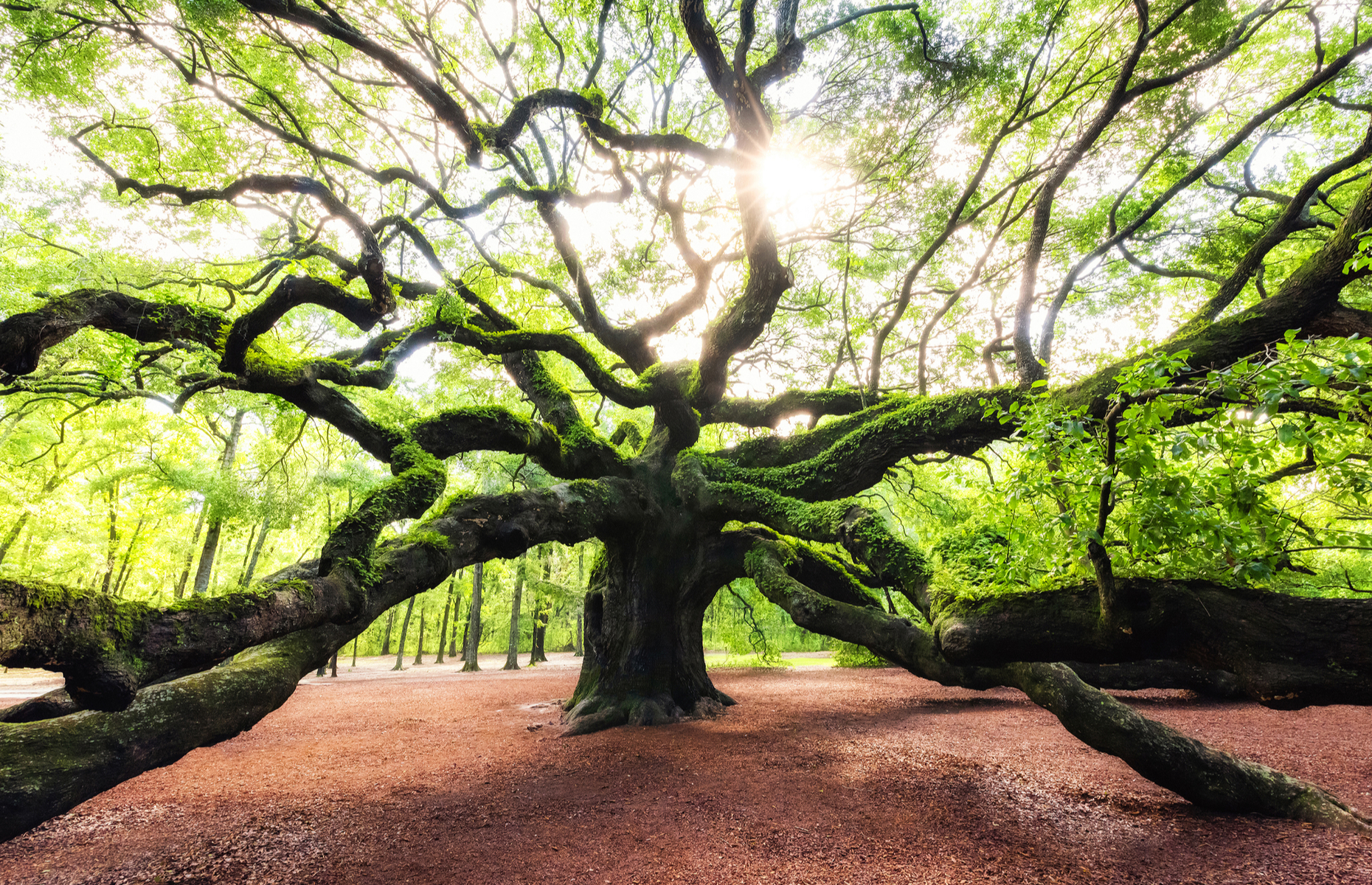 50 hidden travel gems in the United States to see once in a lifetime