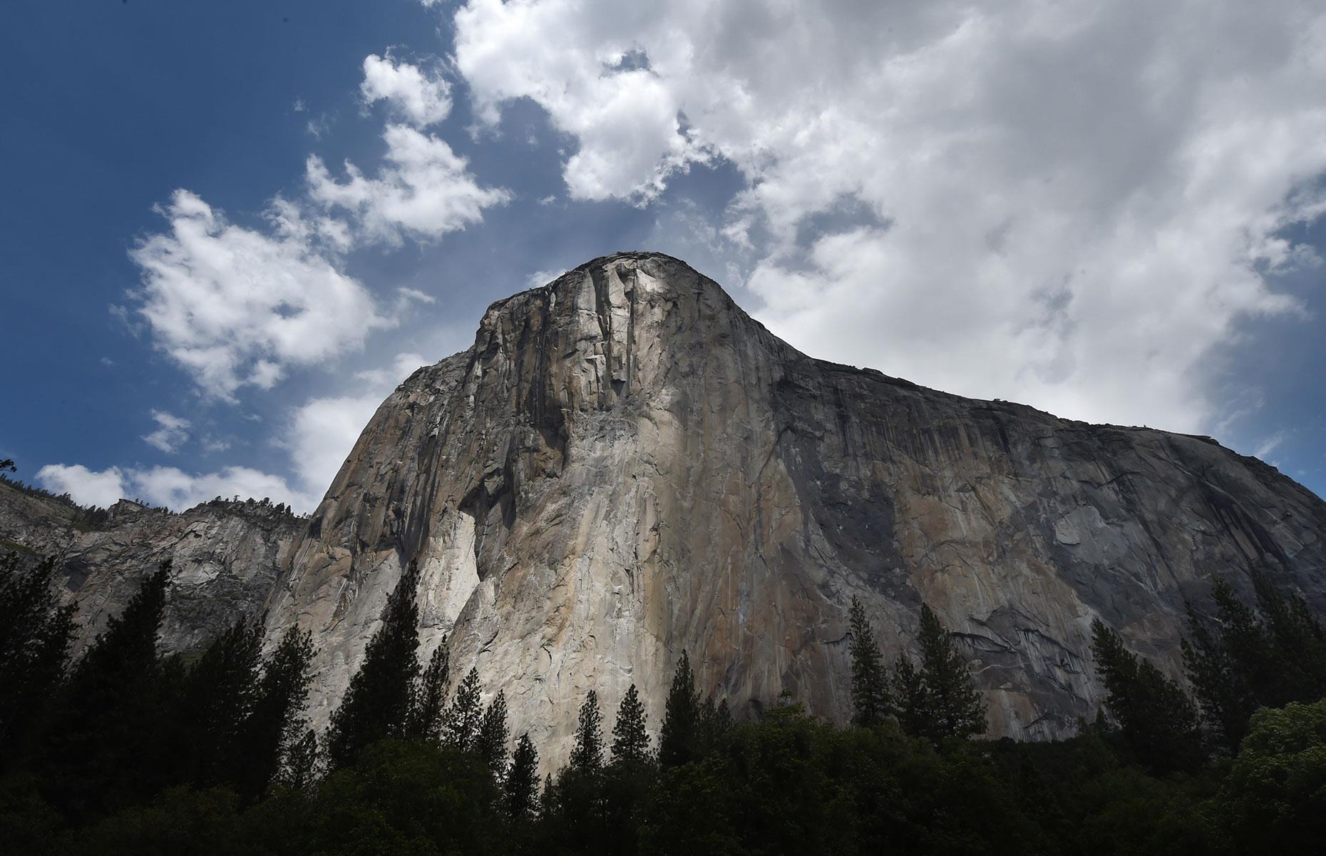 <p>One wrong move and Honnold would have plunged to his death, all while being filmed too, as the incredible story was been made into a movie, <em><a href="http://www.alexhonnold.com/">Free Solo</a></em>, that won best documentary feature at the 2019 Oscars. For the film, Honnold’s brain was scanned and it was discovered he doesn’t compute fear in the same way as the rest of us. It must run in the family as Honnold's mum, Dierdre Wolownick, is the oldest woman to scale El Capitan too. </p>  <p><strong><a href="https://www.loveexploring.com/gallerylist/90563/americas-most-stunning-natural-wonders">See more of America's incredible natural sights here</a></strong></p>