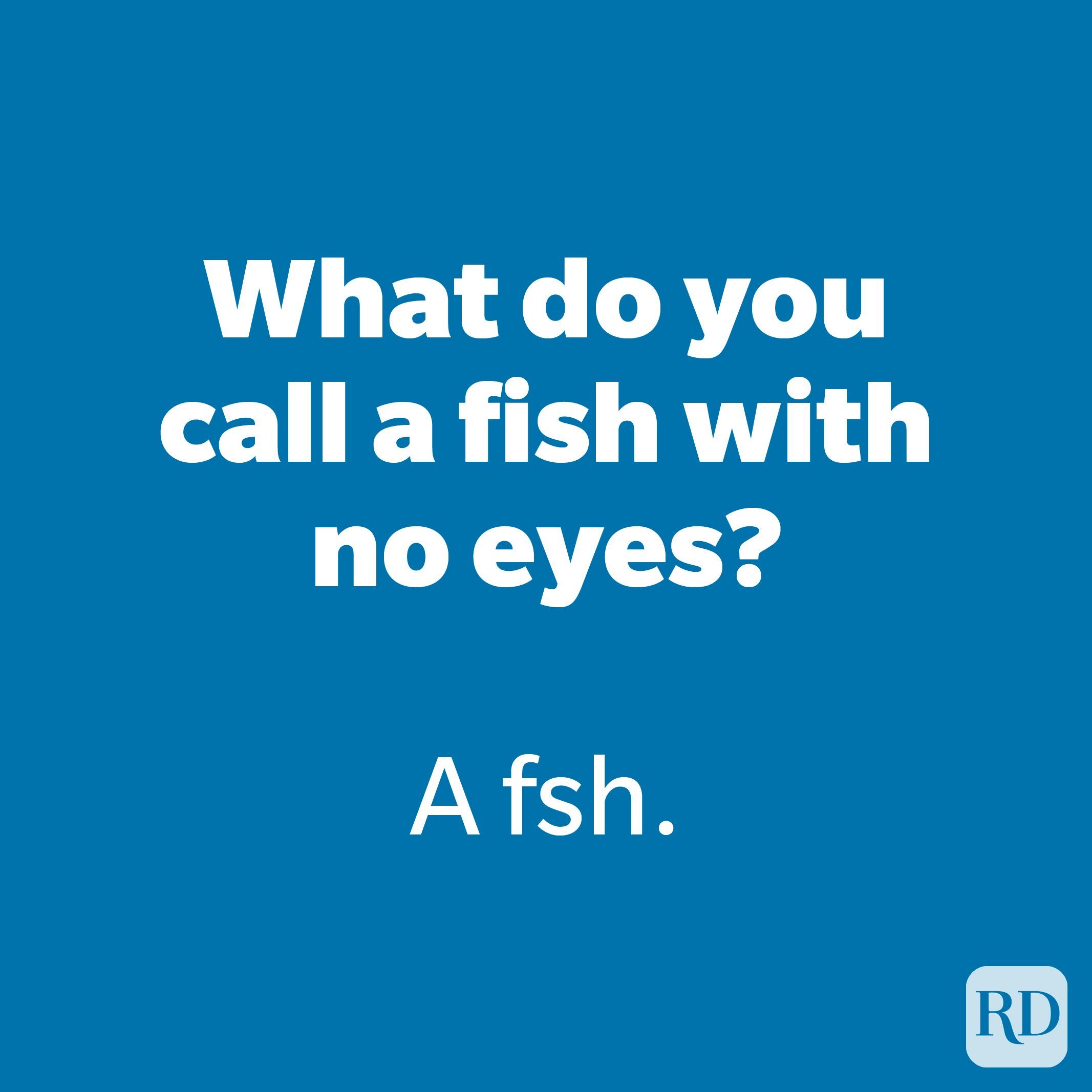 175 Bad Jokes That You Can’t Help but Laugh At