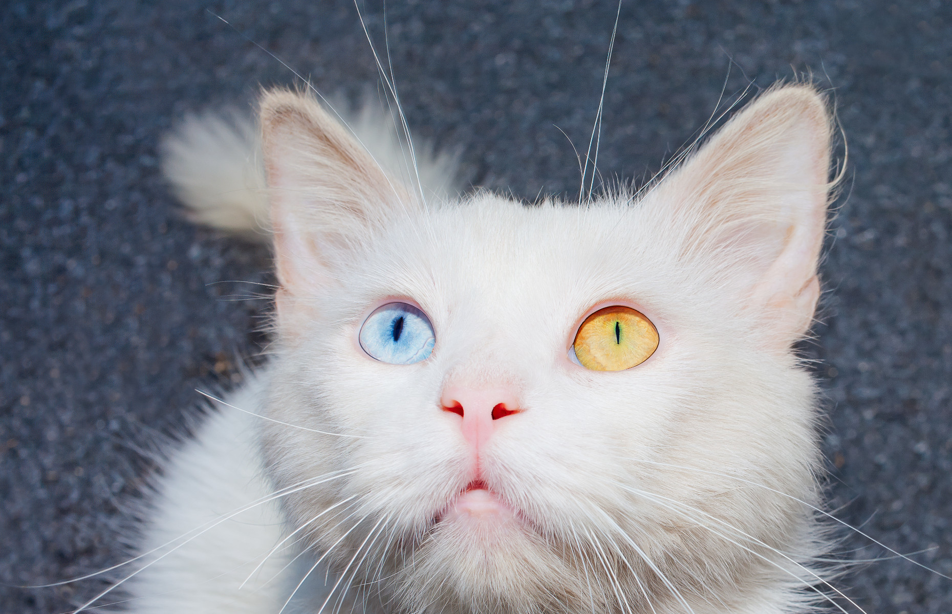 20 words that will make you sound smart