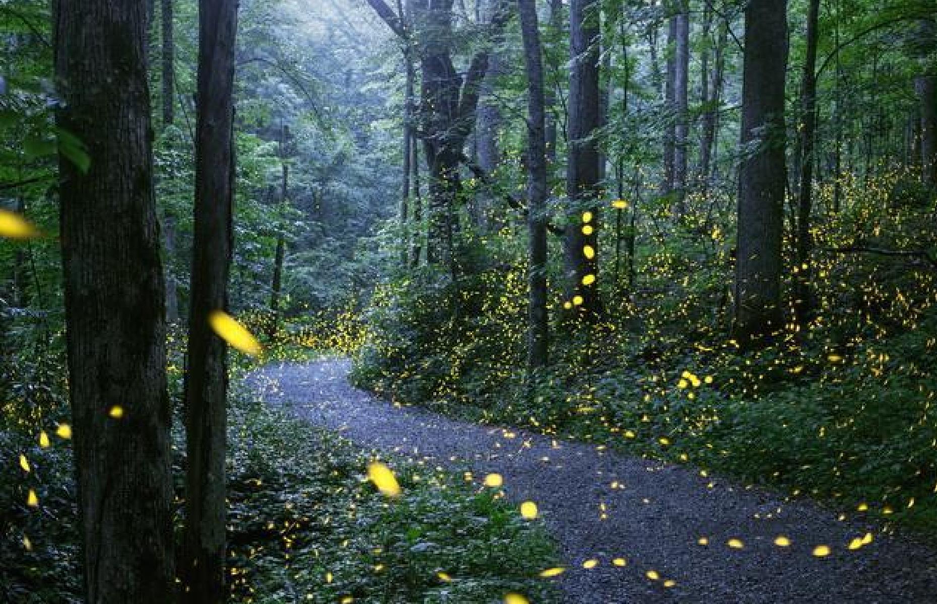 Mysterious places around the world that glow in the dark