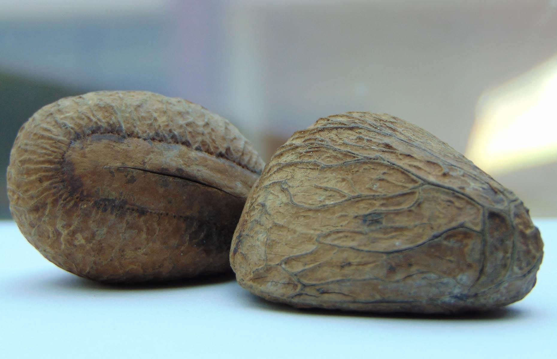 BB1eT3PB.img?h=582&w=1119&m=6&q=60&u=t&o