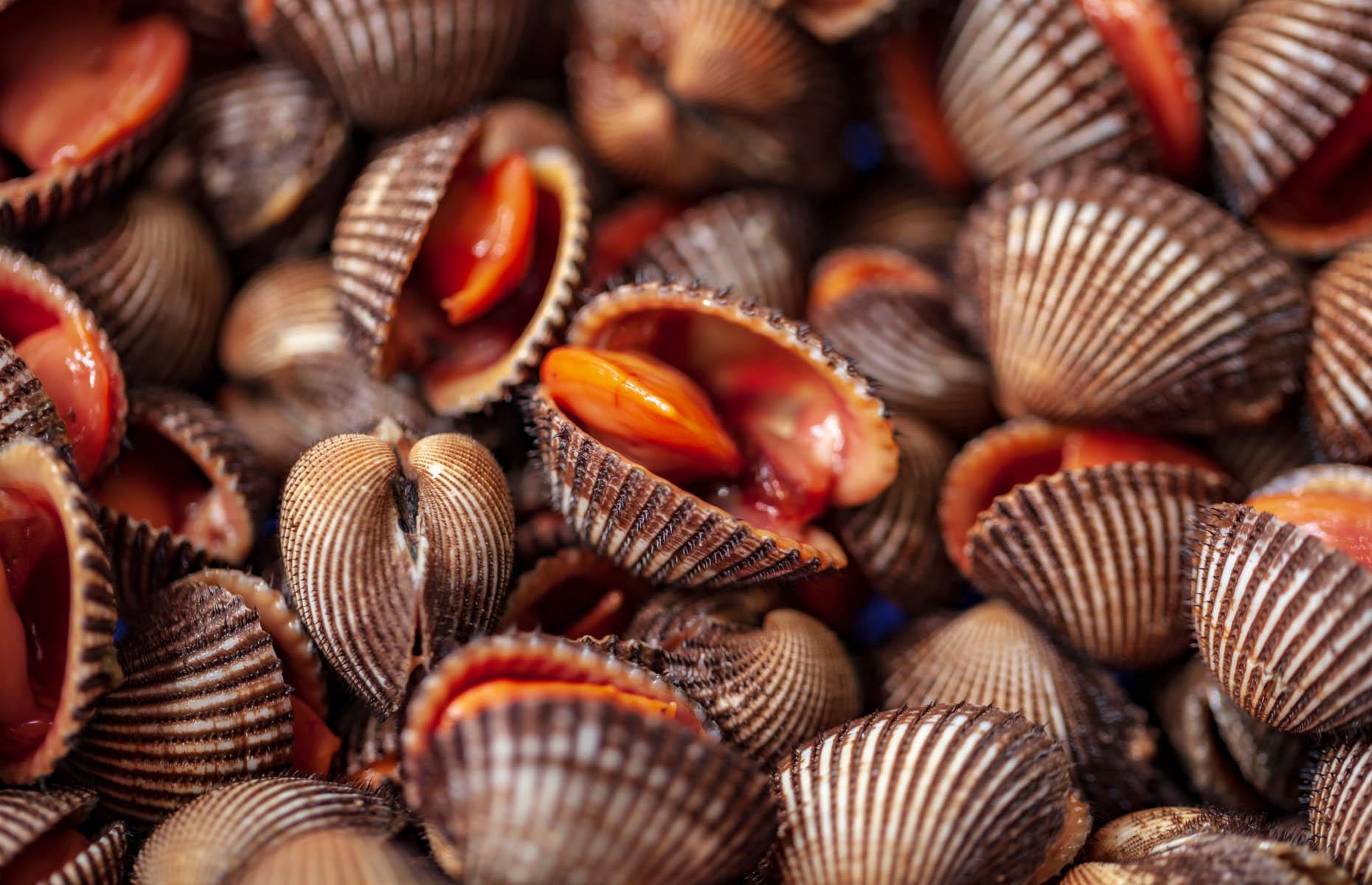 BB1eT3Pu.img?h=582&w=1119&m=6&q=60&u=t&o