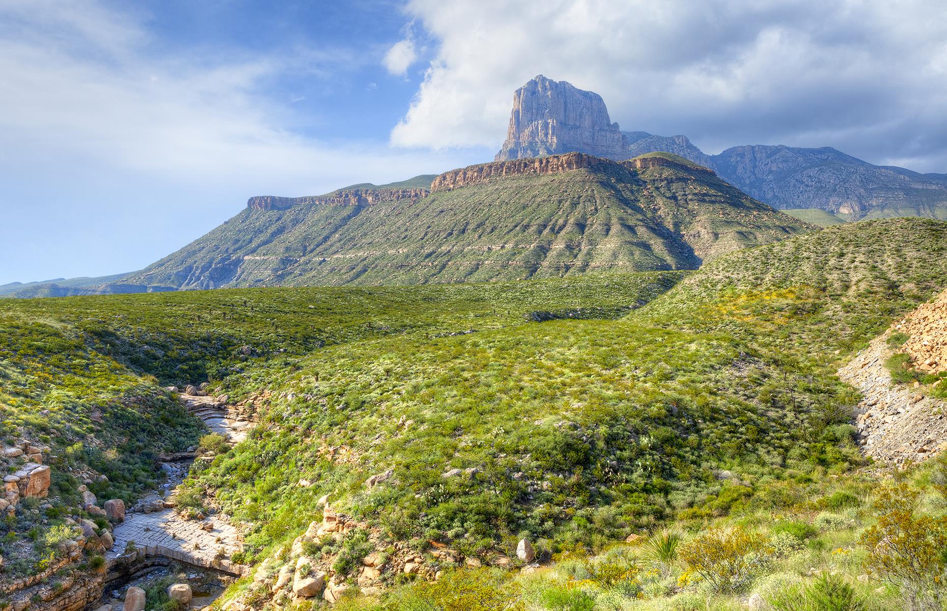 <p>Around 100 miles (160.9km) east of El Paso, right in the northwestern corner of the state, lies <a href="https://www.nps.gov/gumo/index.htm">Guadalupe Mountains National Park</a>. Home to the four highest peaks in Texas, it's popular with hikers thanks to more than 80 miles (129km) of trails that stretch through woodland canyons. There's plenty of wildlife to spot as well, including golden eagles, and the visitor center in Pine Springs offers more information on the park, as well as all the details on hiking and biking trails. </p>
