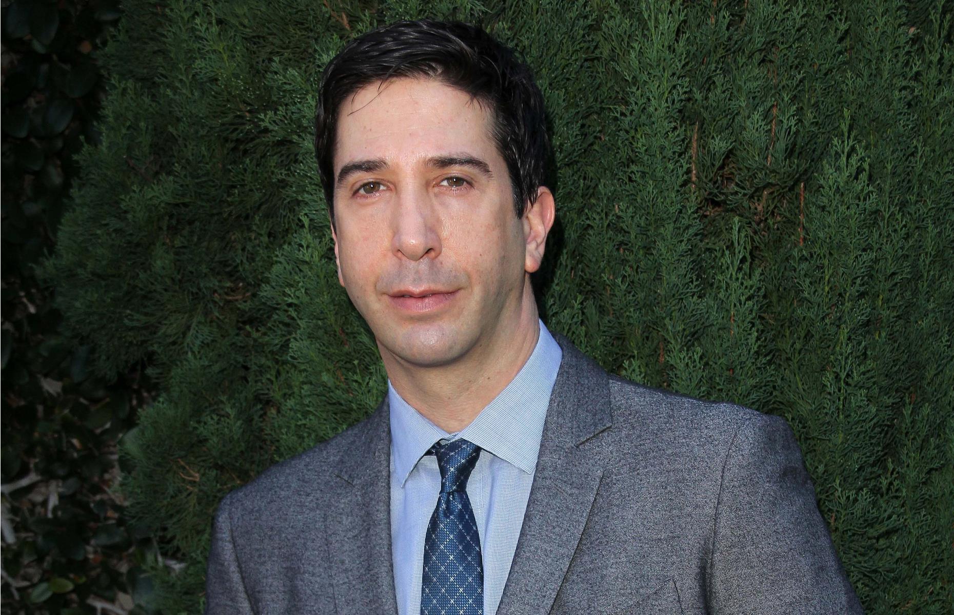 <p>Schwimmer’s career is thought to have earned him a chunky $100 million, although other estimates peg his fortune lower at $85 million.</p>