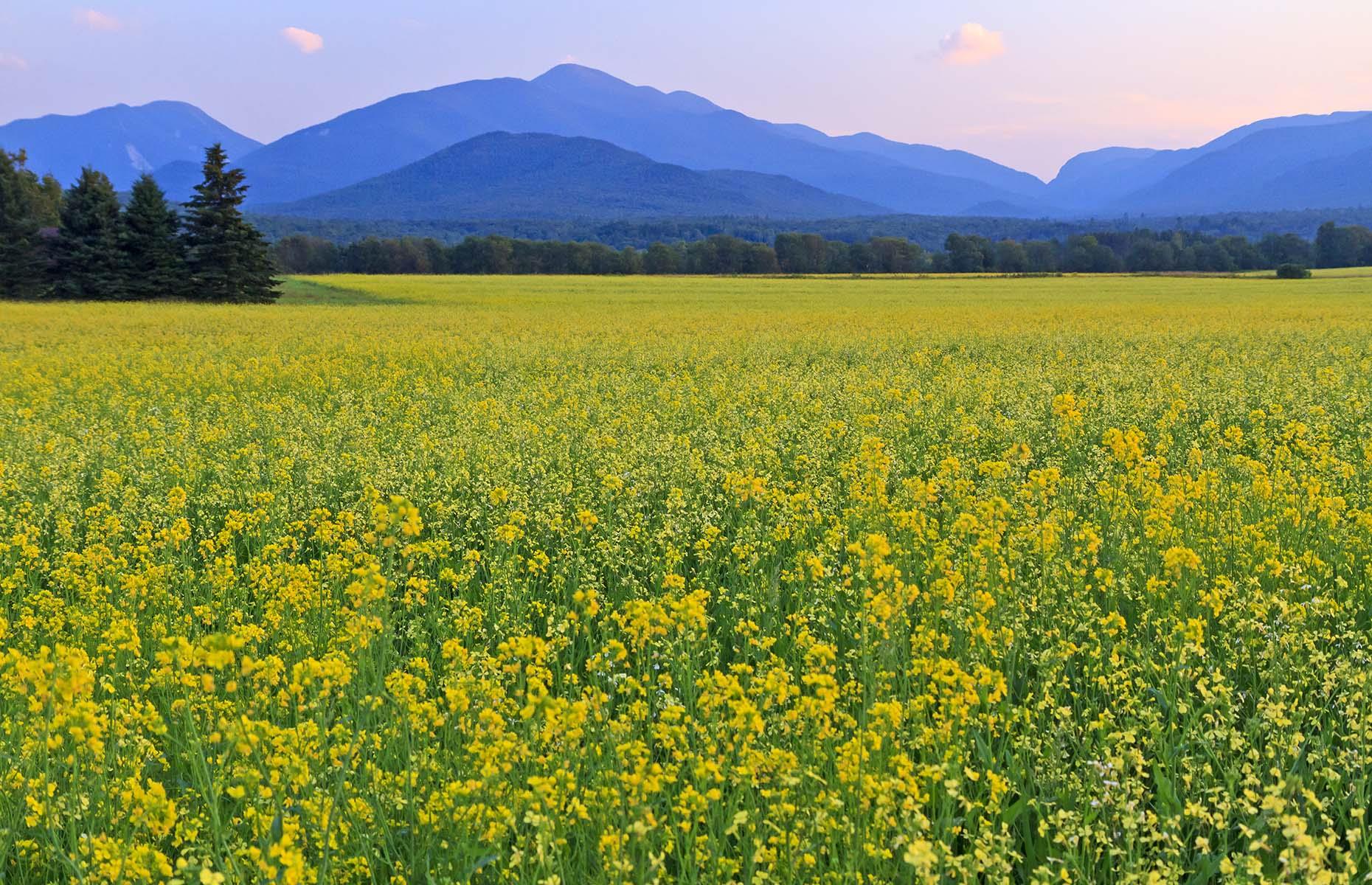 30 of America's most stunning mountains