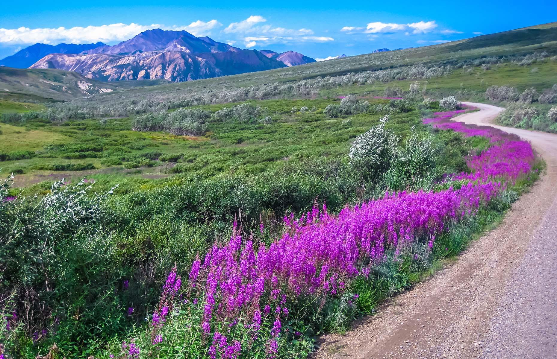 Magnificent Mountain Views Across America