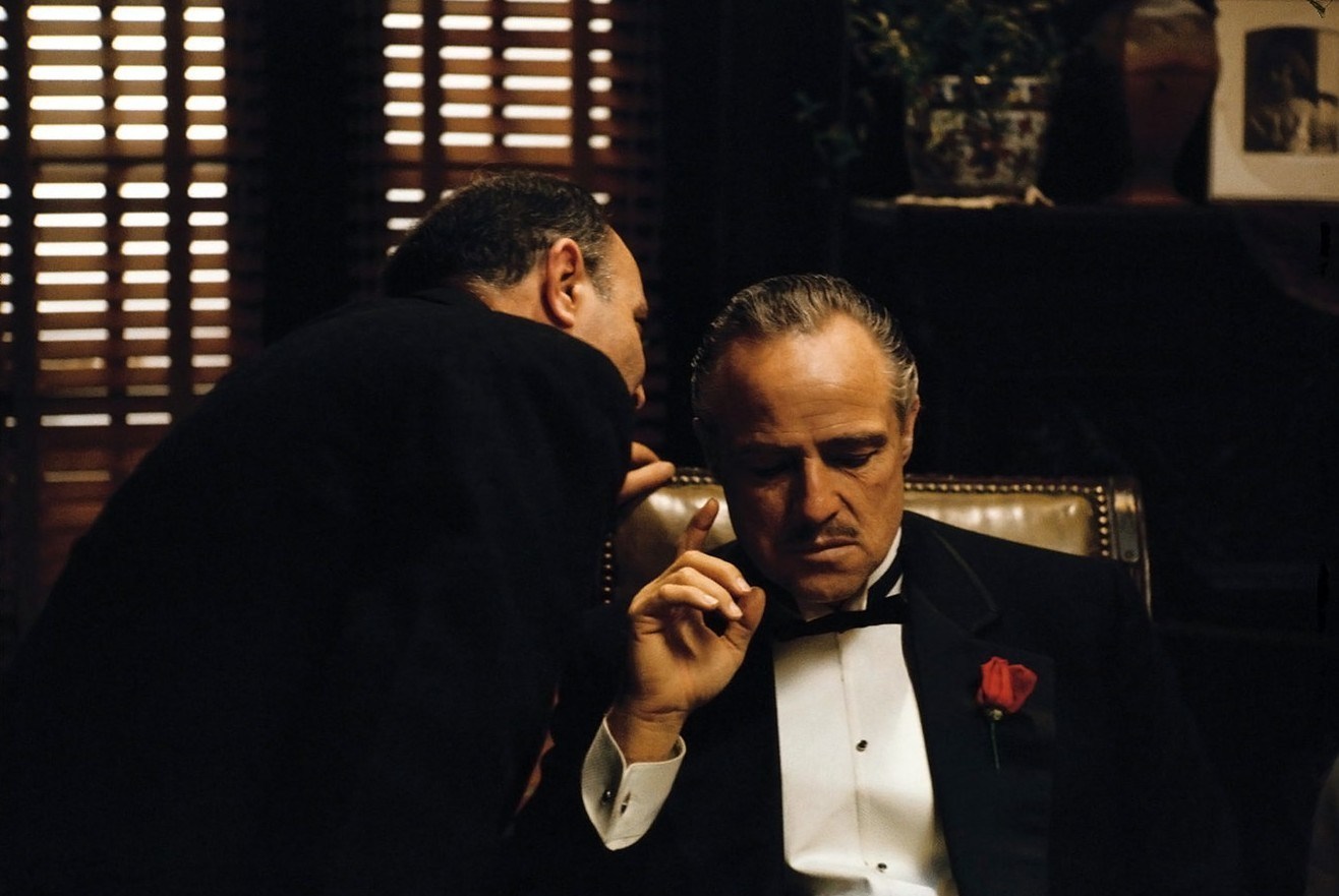 <p class="p1"><span>Mario Puzo’s novel <em>The Godfather</em> was published in 1969. It spent <a href="https://web.archive.org/web/20140717004801/http:/www.cbsnews.com/pictures/the-godfather-turns-40/3/" rel="noreferrer noopener"><span>over a year on bestseller lists and sold nine million copies in its first two years</span></a>. Paramount Pictures must have sensed that the book was a gold mine because it obtained film rights before the book was even published! The first two movies, starring Marlon Brando as Don Corleone, Al Pacino as Michael Corleone, and Robert De Niro as Vito Corleone, are considered to be among the <a href="http://www.afi.com/100years/movies10.aspx" rel="noreferrer noopener"><span>best American films of all time</span></a>. The storyline follows a New York Mafia family from its origins to the present day, when Michael is head of the family and must make difficult decisions to expand the family business. While the <a href="https://www.rottentomatoes.com/m/godfather" rel="noreferrer noopener"><span>first</span></a> <a href="https://www.rottentomatoes.com/m/godfather_part_ii" rel="noreferrer noopener"><span>two movies</span></a> are adored by critics and movie fans alike, the <a href="https://www.rottentomatoes.com/m/godfather_part_iii" rel="noreferrer noopener"><span>third movie</span></a> has its detractors.</span></p>