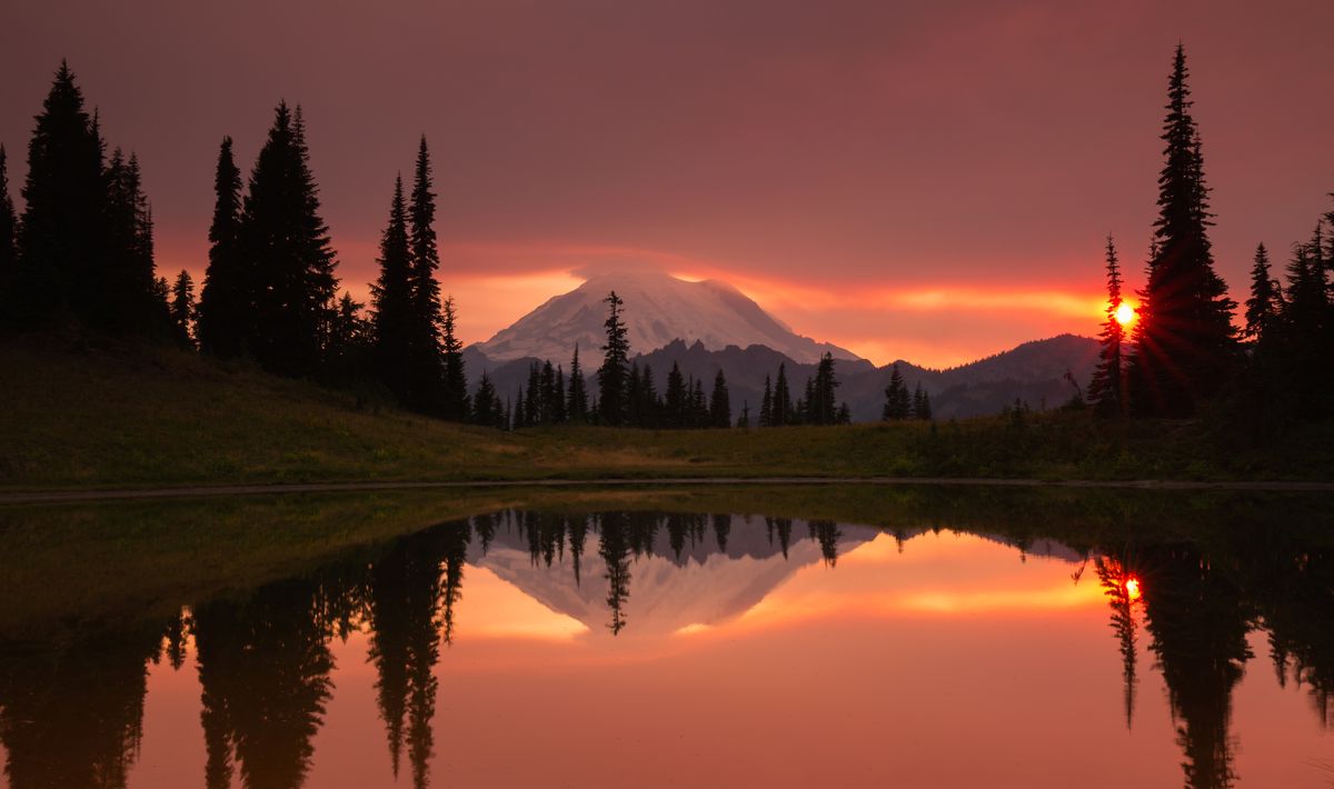 <p>This popular alpine hiking trail is a nature lover's dream come true: Wildflower fields, the beautiful Tipsoo Lake, and a striking view of Washington's Mount Rainier all greet hikers along the <a href="http://www.wta.org/go-hiking/hikes/naches-peak-loop">Naches Peak Loop</a>. Late-summer visitors will find more blue lupine, white bistort, and magenta paintbrush than those who visit at any other time of year.</p>