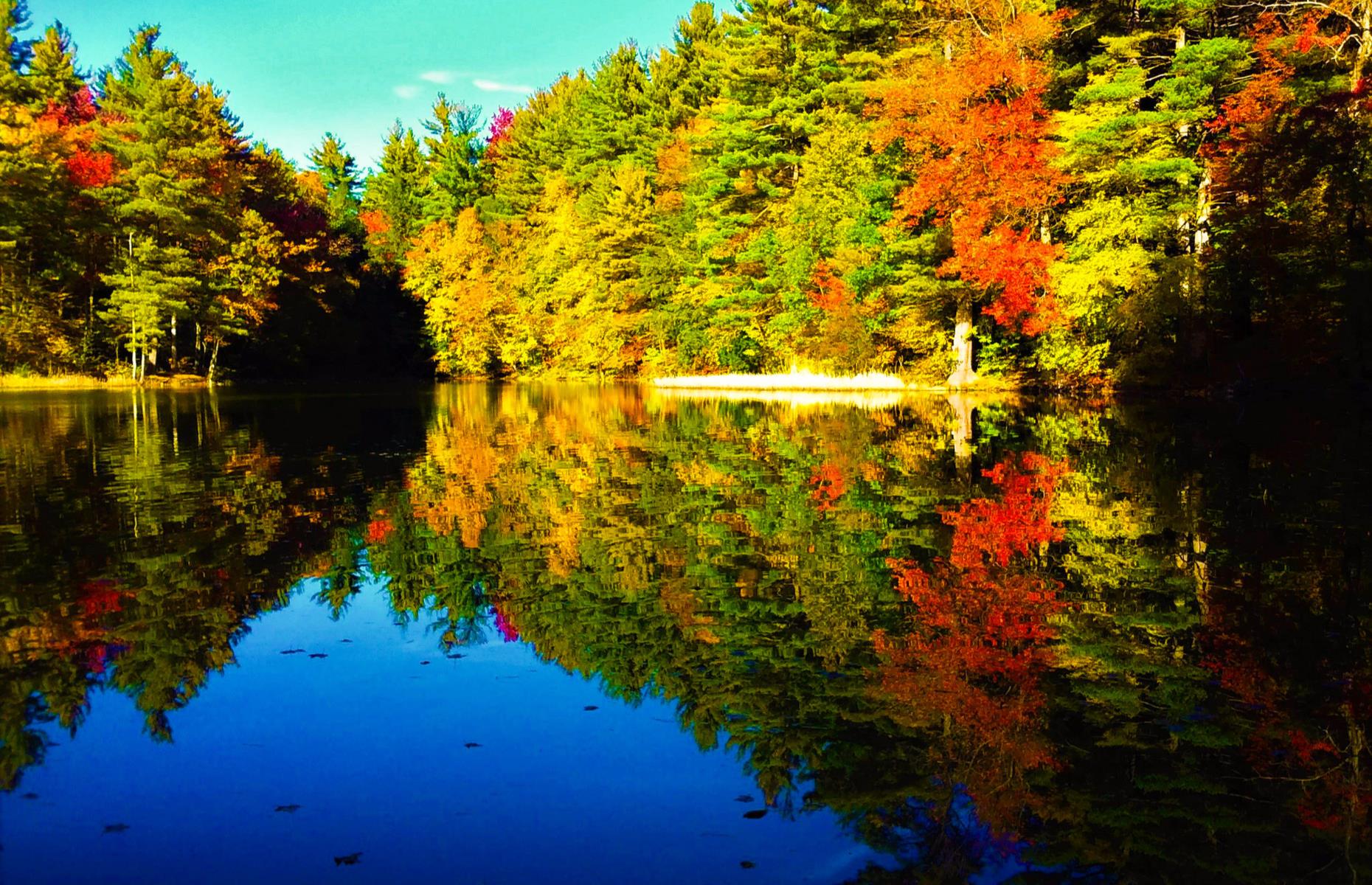 Take In The View At Your State's Most Beautiful Lake