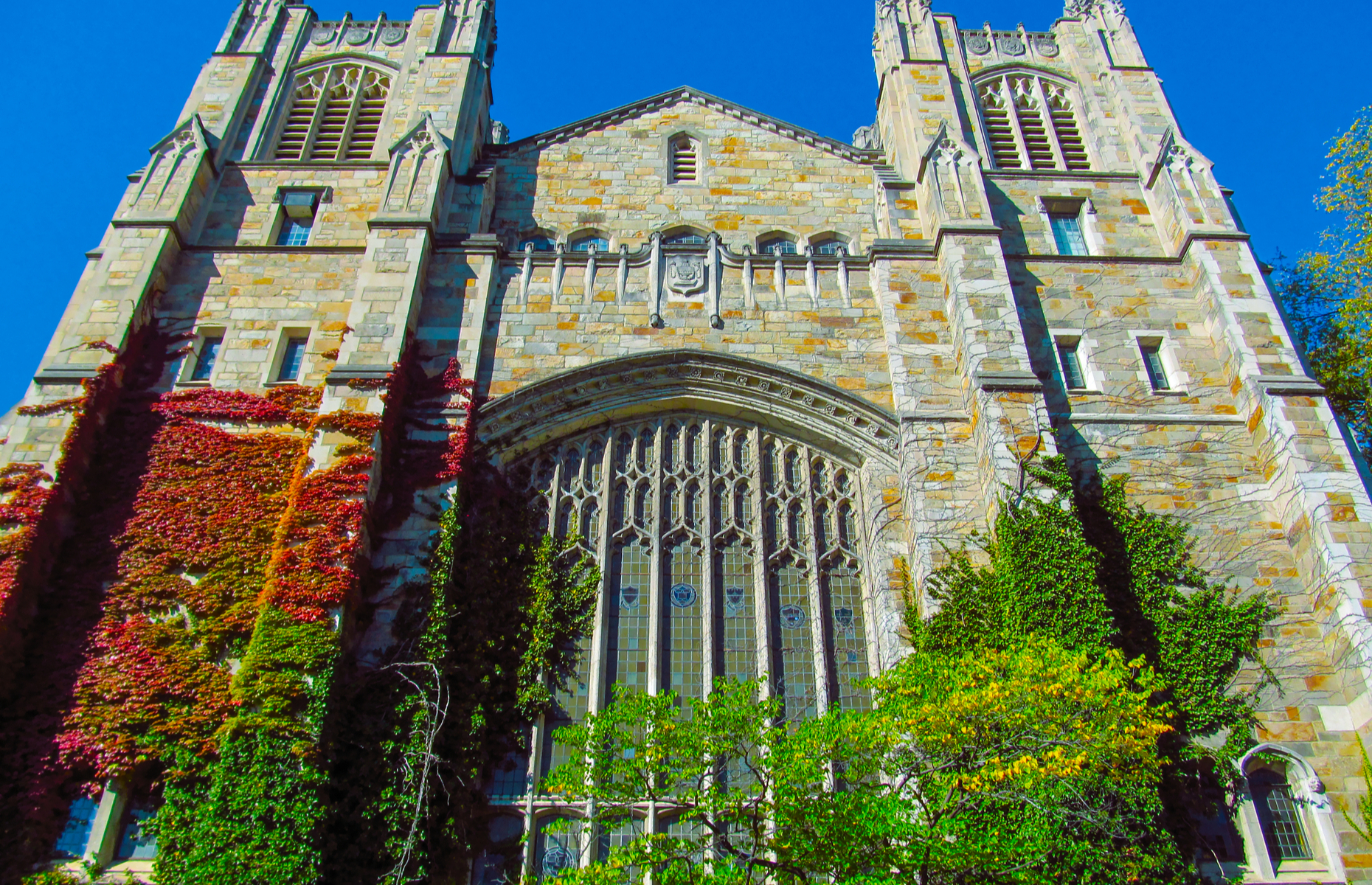 <p>There are many beautiful spots on the University of Michigan’s campus in Ann Arbor, but the most striking is the <a href="https://www.law.umich.edu/historyandtraditions/buildings/LegalResearchLibrary/Pages/default.aspx" rel="noreferrer noopener">William W. Cook Legal Research Library</a> (pictured), with its tall stained-glass windows and elaborate entranceway.</p>