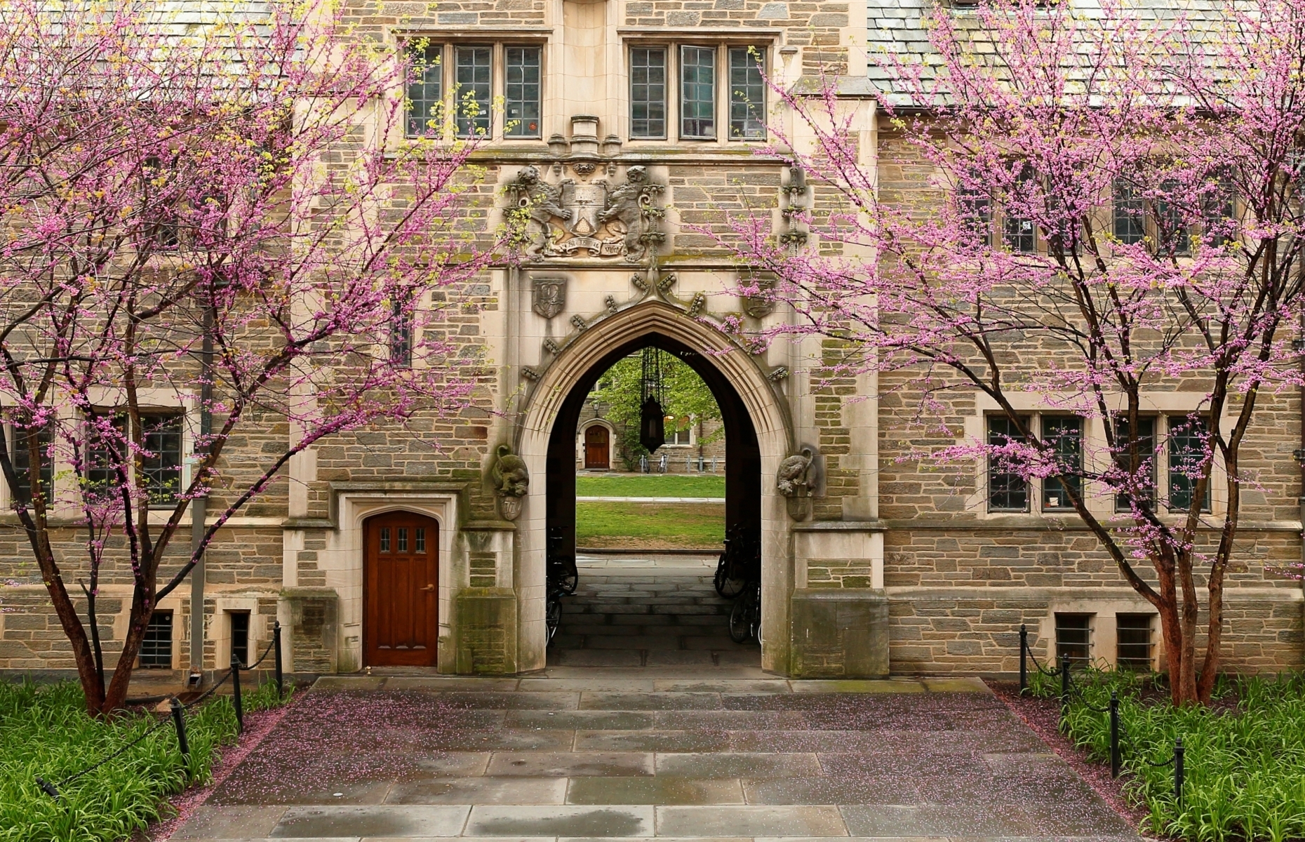 <p>Another Ivy League institution, <a href="https://www.princeton.edu/" rel="noreferrer noopener">Princeton University</a> has a majestic entrance road lined with Princeton elm trees, along with plenty of Collegiate Gothic buildings with ornate arches and walls draped in ivy.</p>