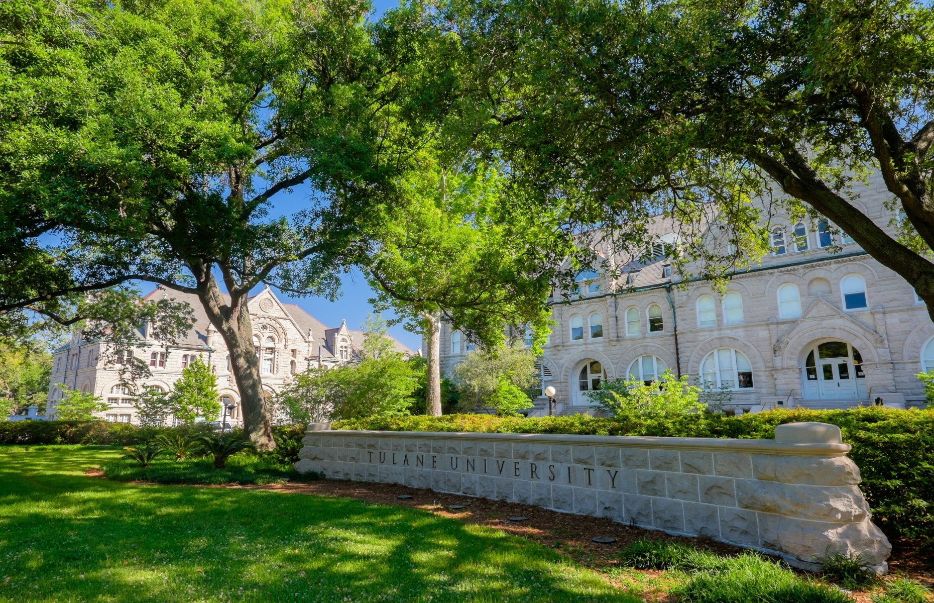 <p><a href="http://tulane.edu/" rel="noreferrer noopener">Tulane University</a> in New Orleans has elegant white stone buildings and plenty of space to relax on the large quads lined with oak and cypress trees.</p>