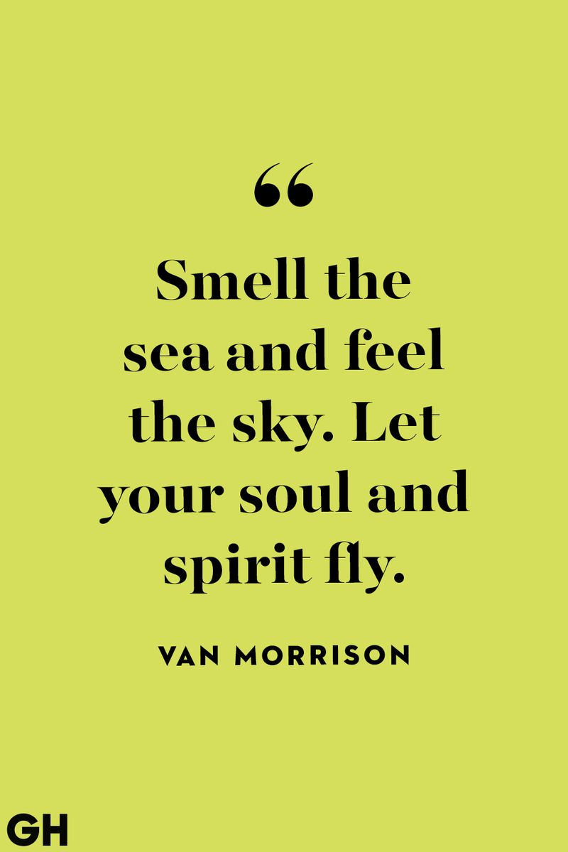 <p>Smell the sea and feel the sky. Let your soul and spirit fly.</p>
