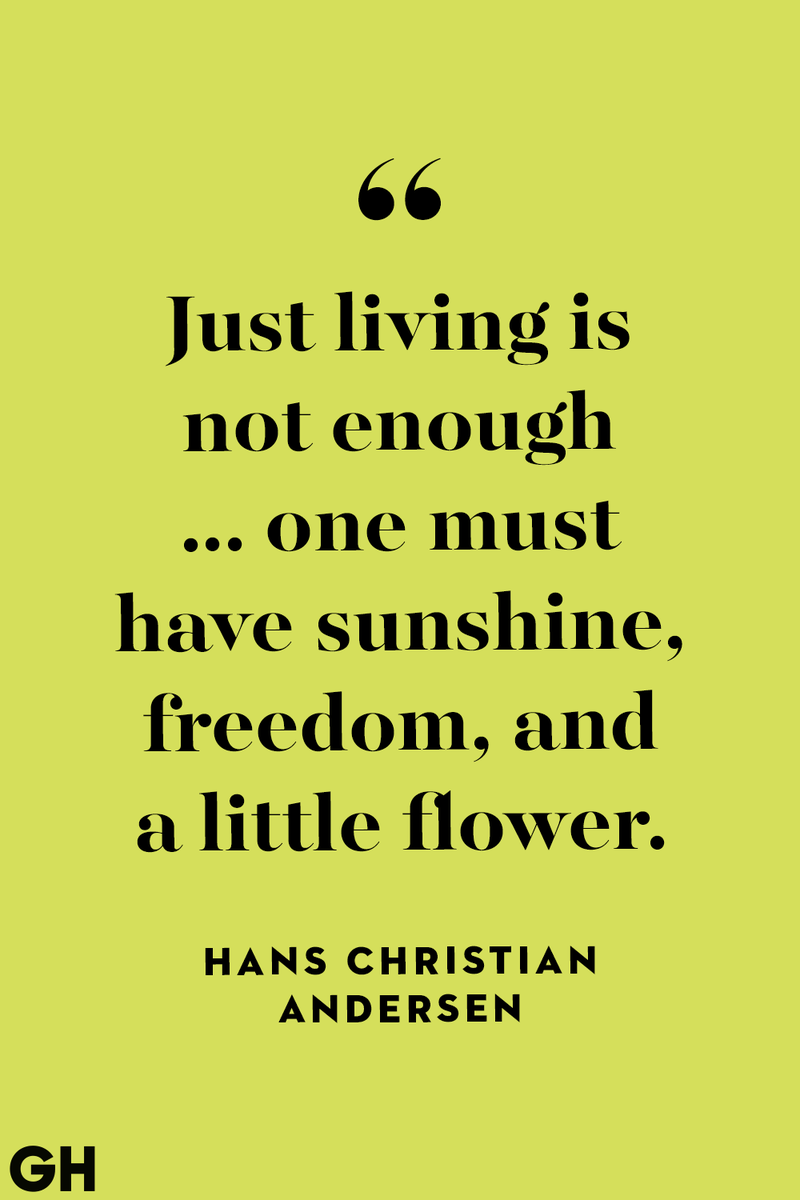 <p>Just living is not enough... one must have sunshine, freedom, and a little flower.</p>