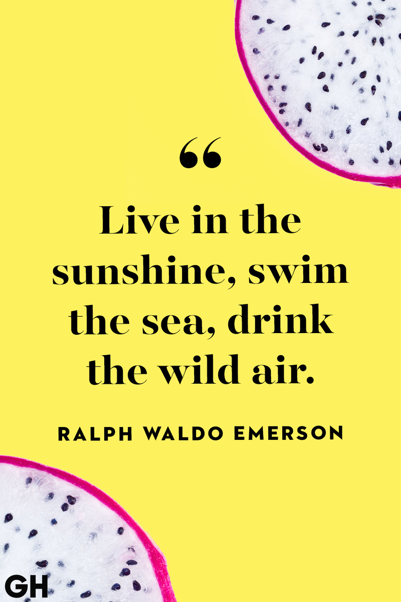<p>Live in the sunshine, swim the sea, drink the wild air.</p>