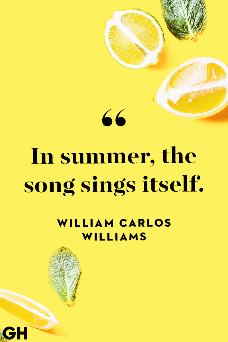 <p>In summer, the song sings itself.</p>
