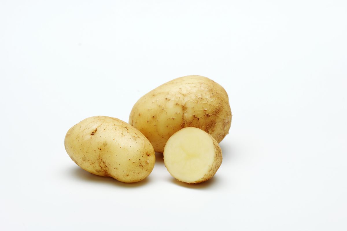 Сорт картофеля голубизна
