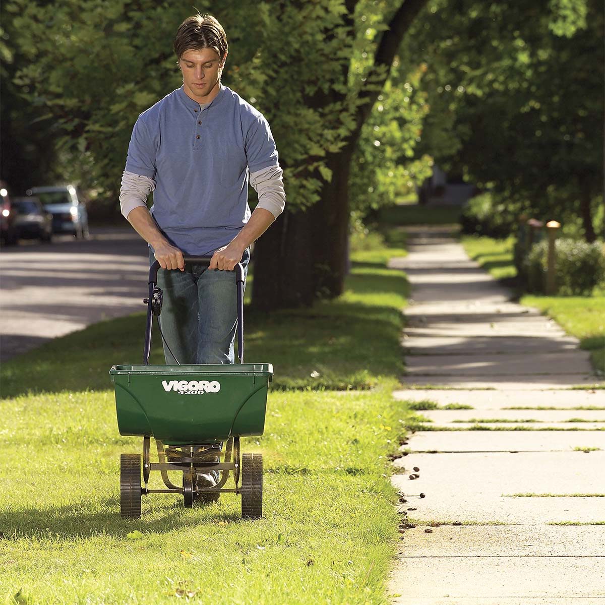 Homeowner’s Guide to a Weed-Free Landscape